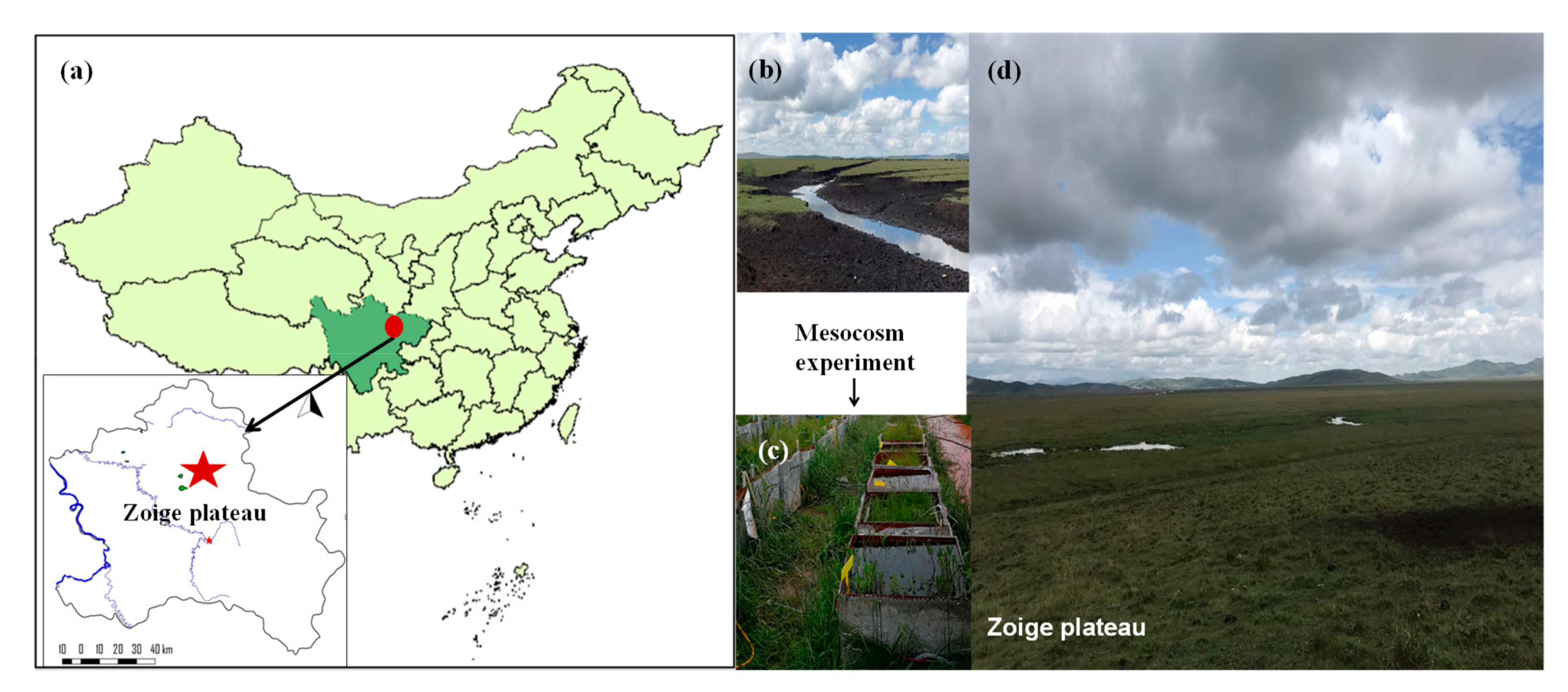 Atmosphere 11 01165 g001