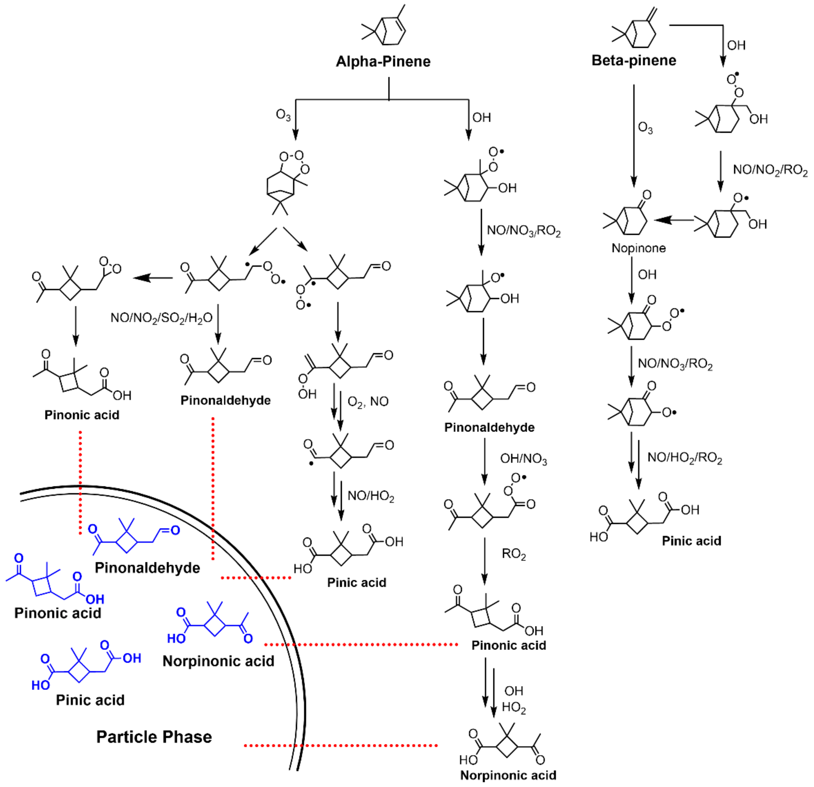 Importance of Hydroxyl Radical Chemistry in Isoprene Suppression of  Particle Formation from α-Pinene Ozonolysis