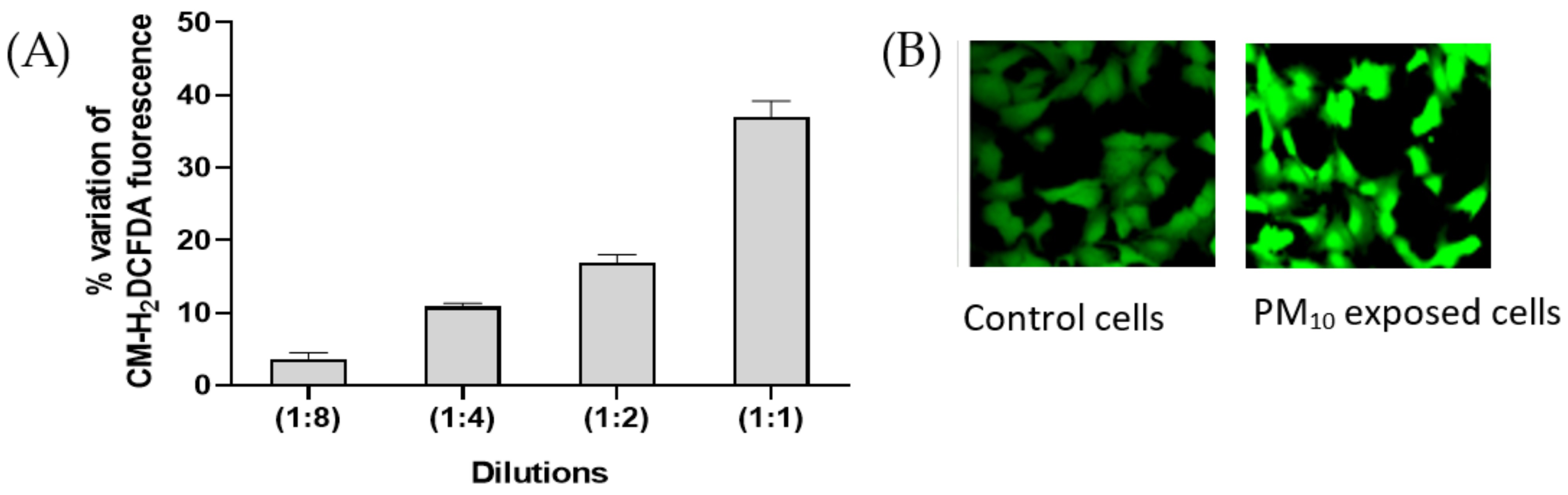 Atmosphere 12 00464 g003