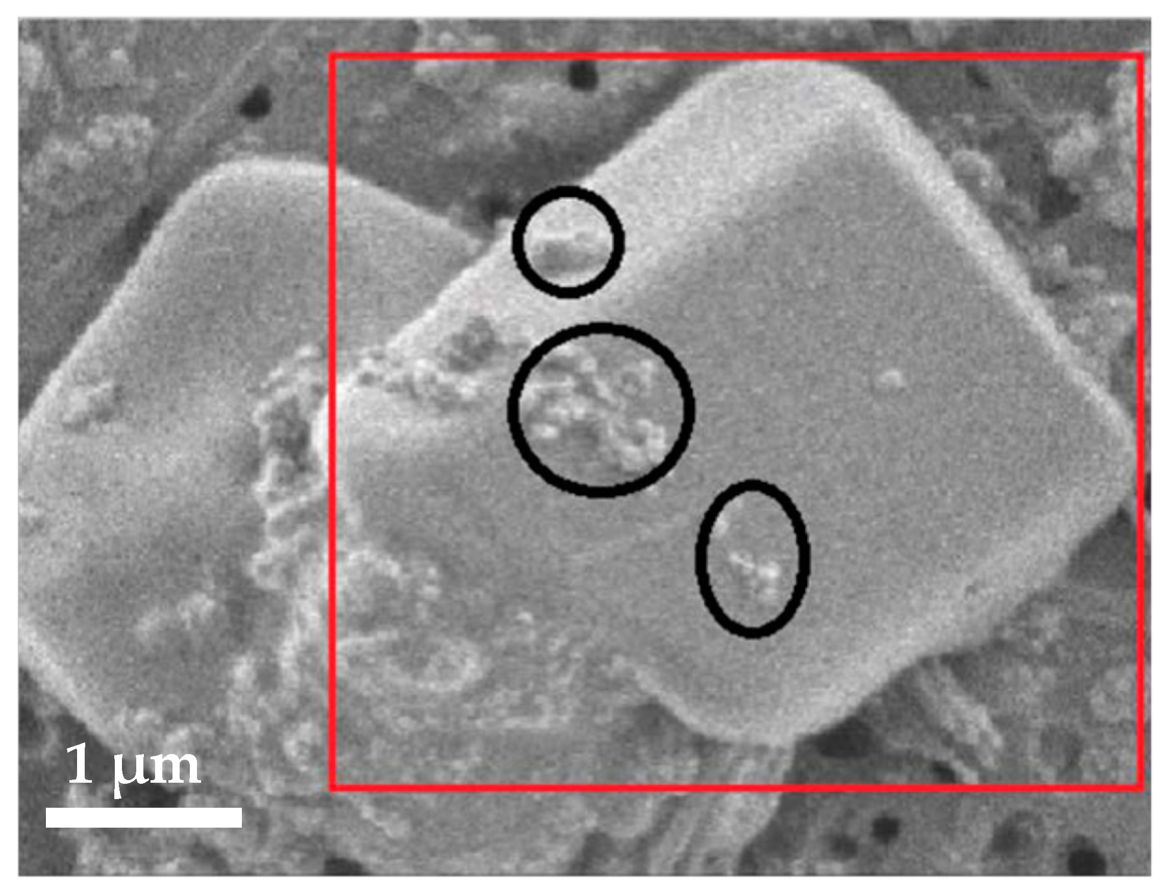 Atmosphere 12 00523 g010 Atmosphere 12 00523 g010