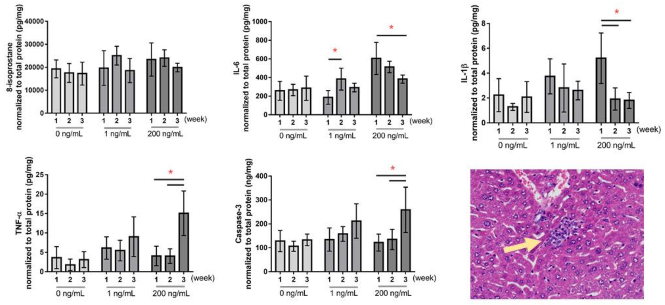 Atmosphere 12 00596 g005