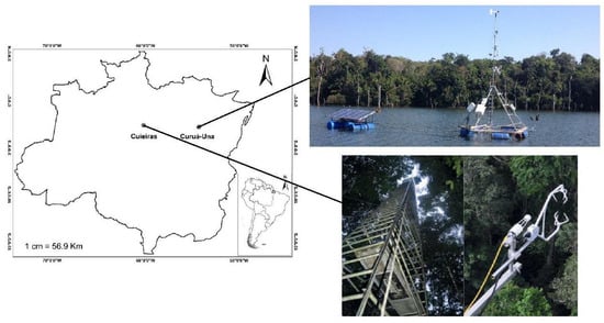 Manaus (1) and Tapajó s (2) study areas and their location in