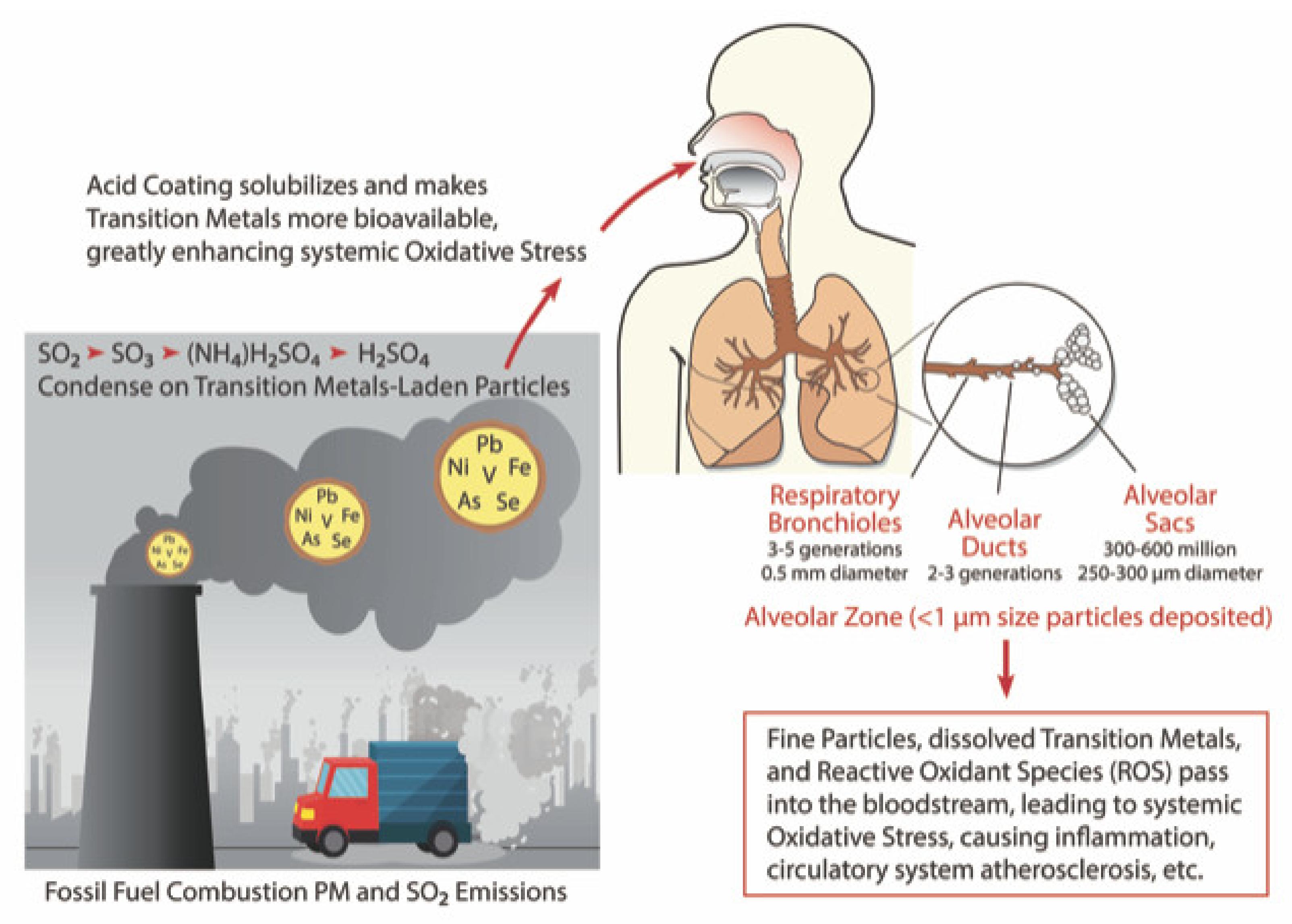 Atmosphere | Free Full-Text | The Role of Fossil Fuel Combustion Metals in  PM2.5 Air Pollution Health Associations | HTML