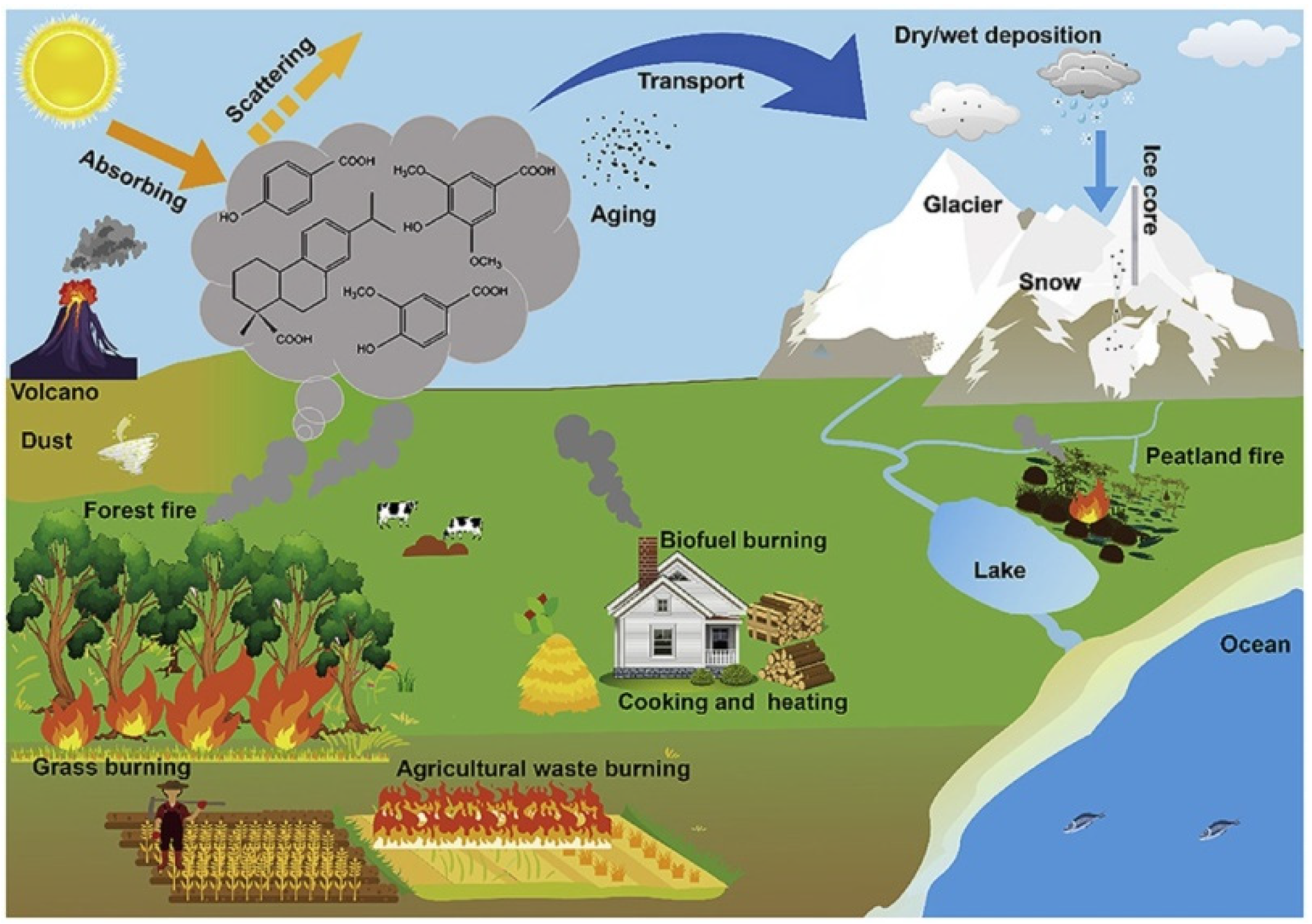 Atmosphere | Identification Biomass from Biomass Burning Free and of Full-Text Tracers Emissions Burning 