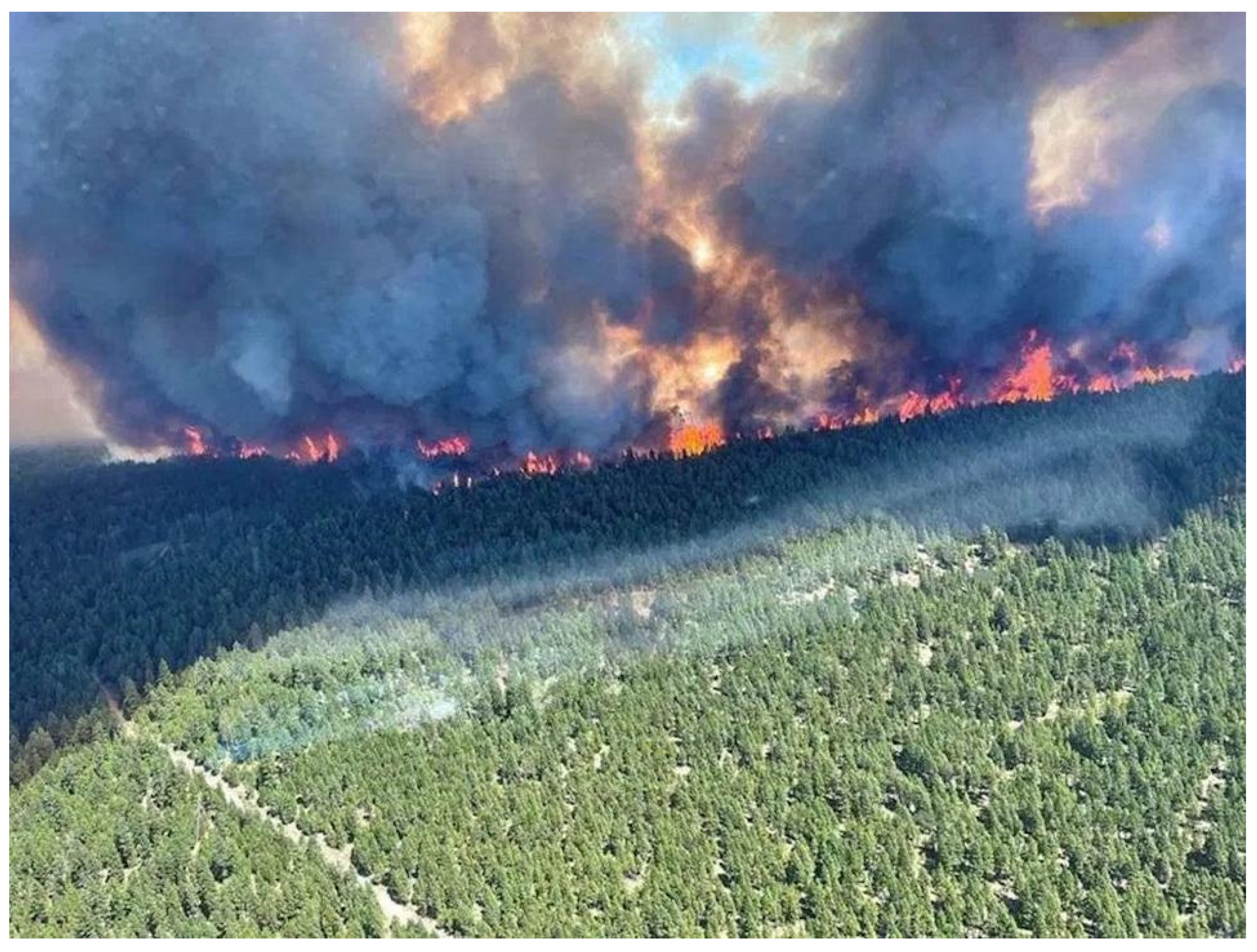 Atmosphere 12 01434 g001