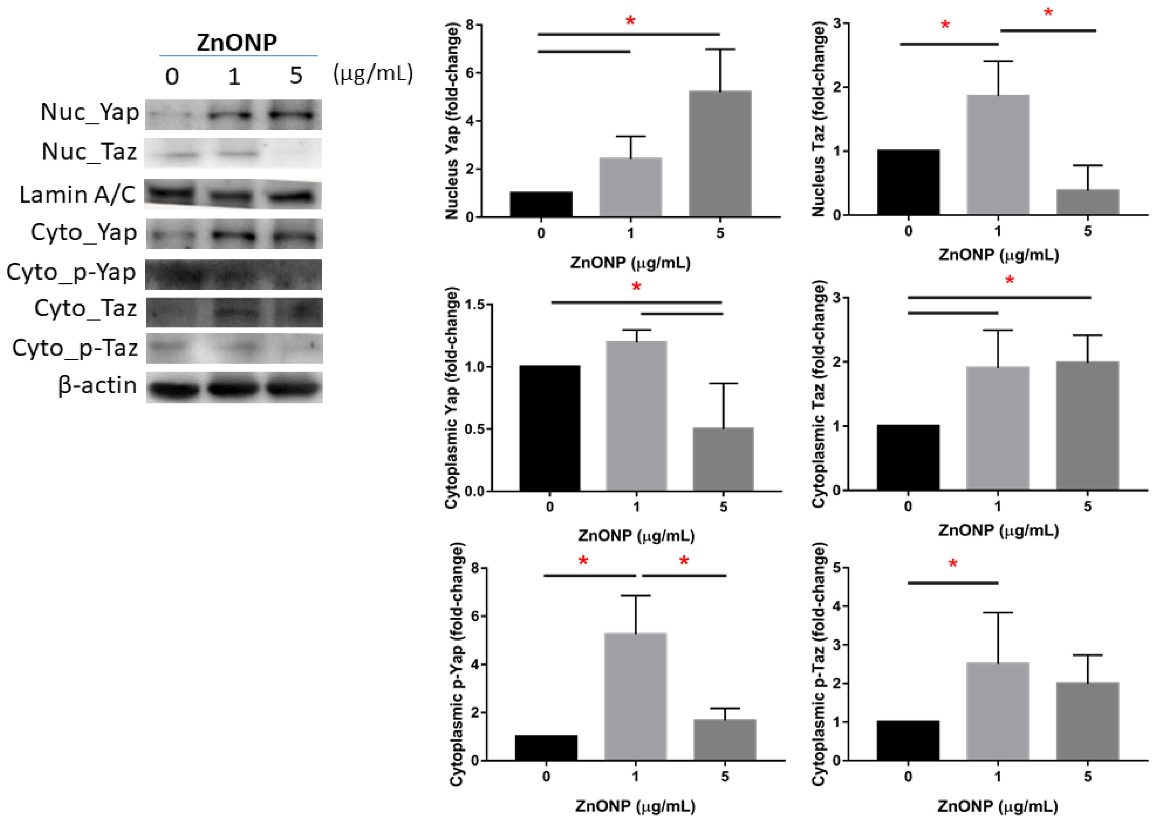 Atmosphere 13 00334 g002