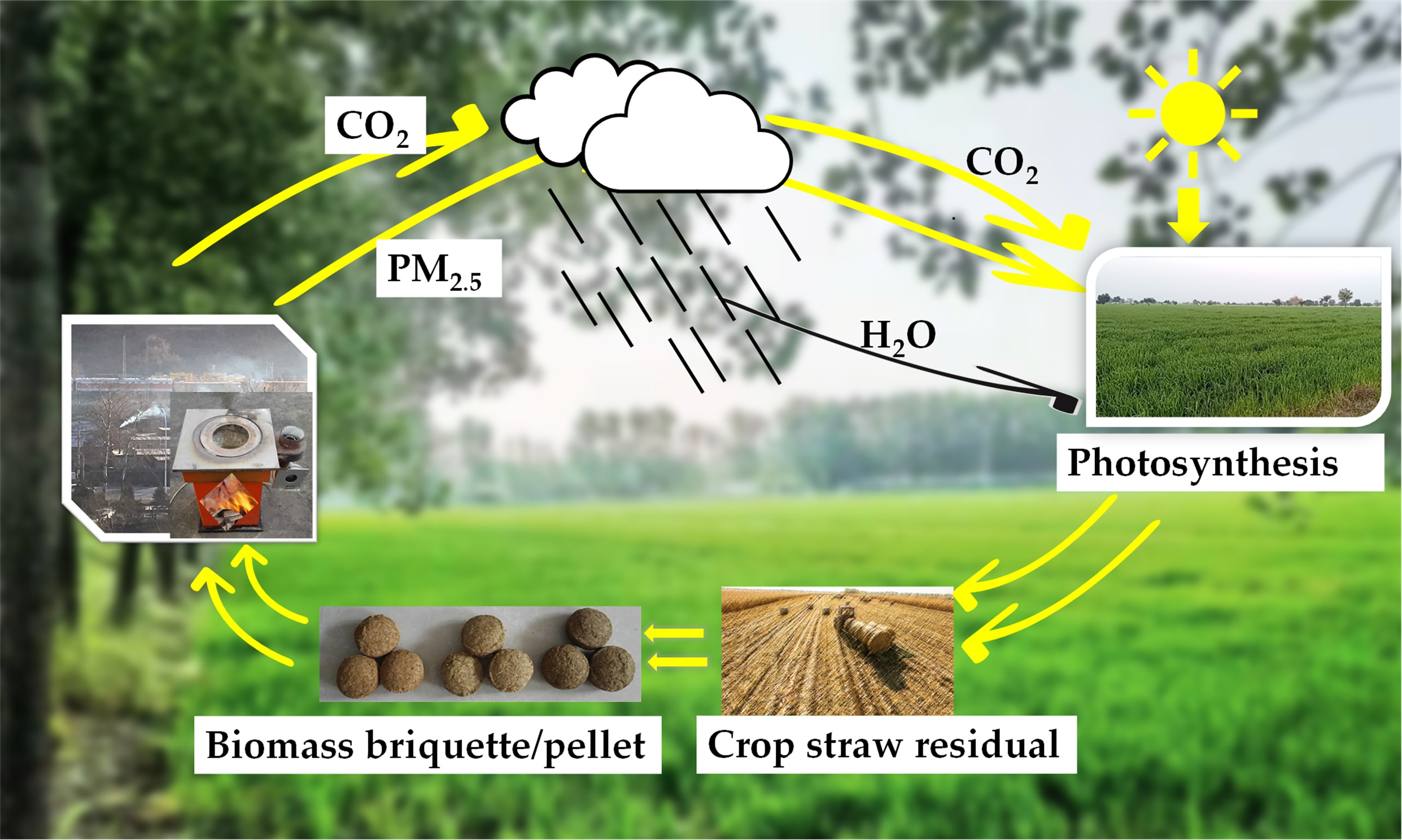 Atmosphere | Free Full-Text | Improving Combustion Technology for Cooking  Activities for Pollutant Emission Reduction and Carbon Neutrality
