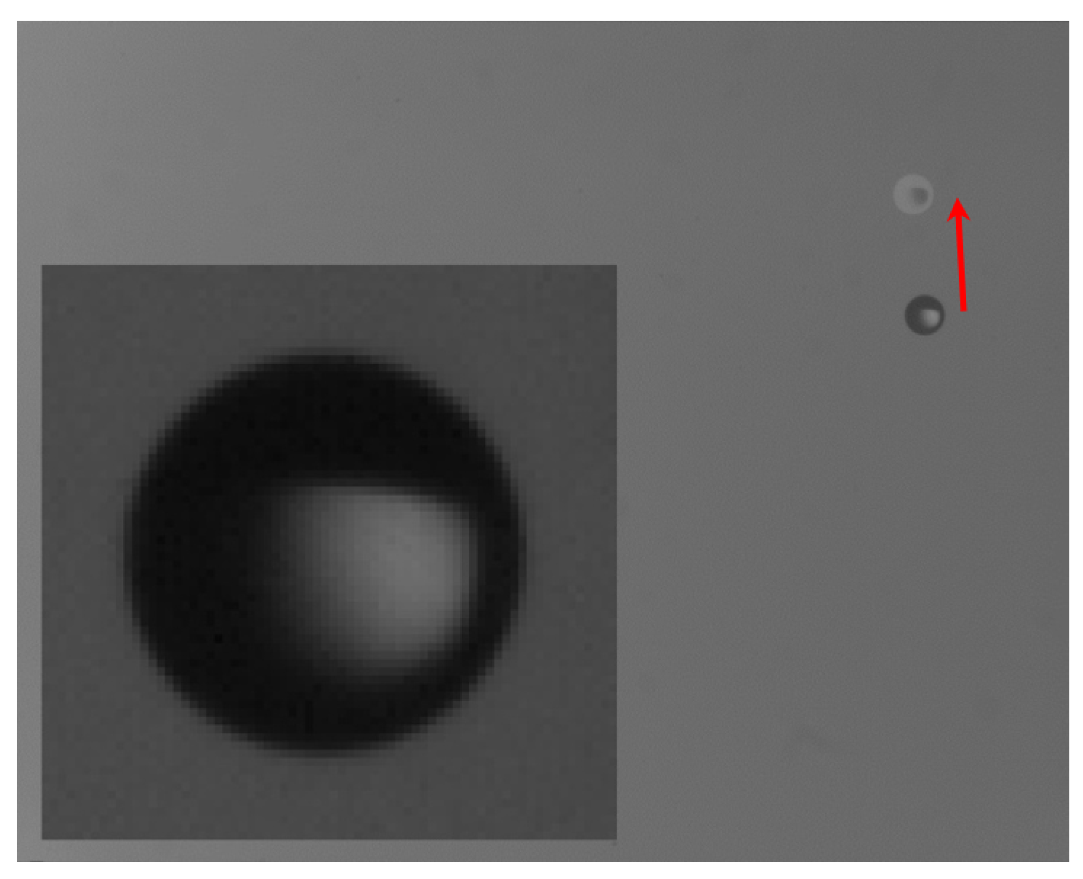 Atmosphere 13 01137 g003