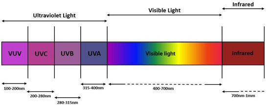 ASP 36 Watt UV Lamp
