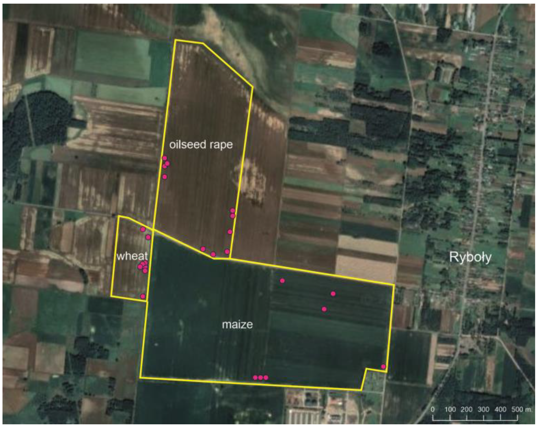 iGrow Wheat: Best Management Practices for Wheat Production