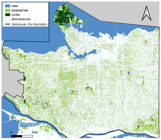 Atmosphere | Free Full-Text | Arboreal Urban Cooling Is Driven by Leaf ...