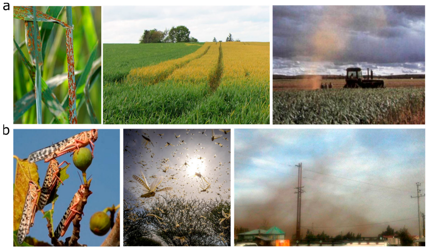 Atmosphere 14 00910 g001