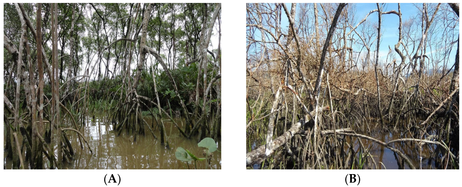 Atmosphere 14 01195 g009a Atmosphere 14 01195 g009a