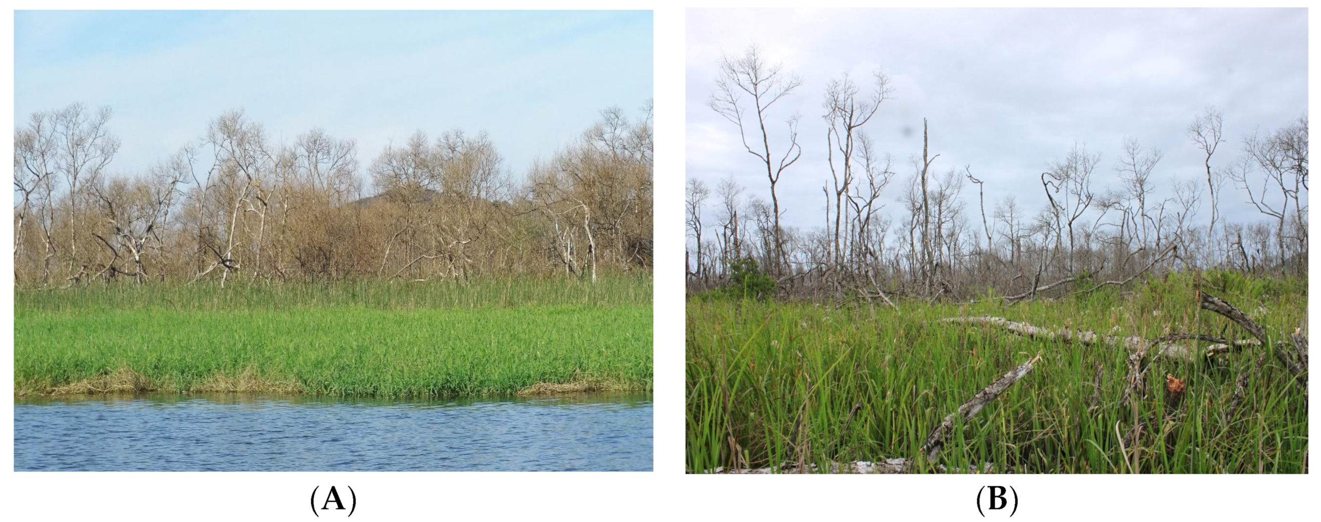 Atmosphere 14 01195 g010 Atmosphere 14 01195 g010