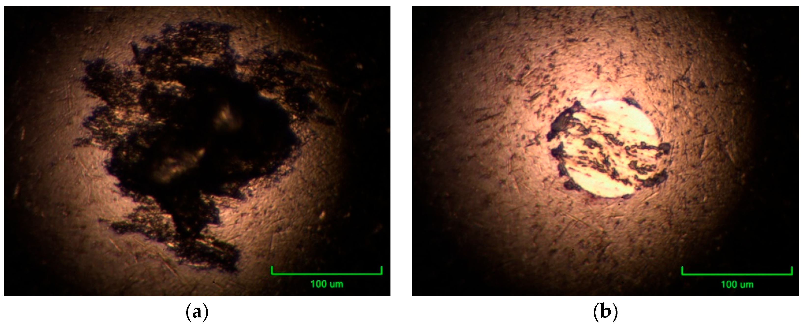 Atmosphere 15 00184 g013