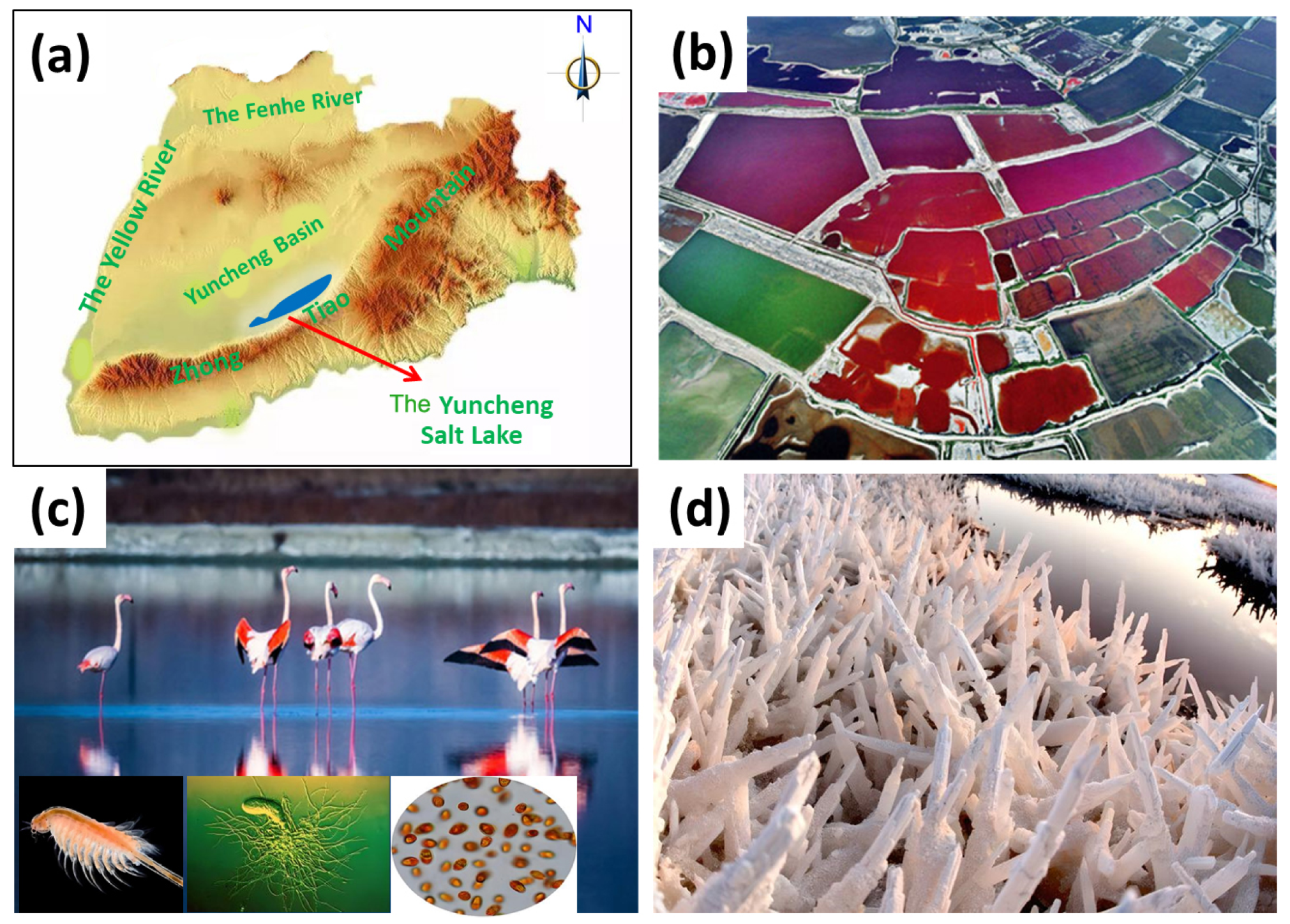 Atmosphere 15 00212 g003