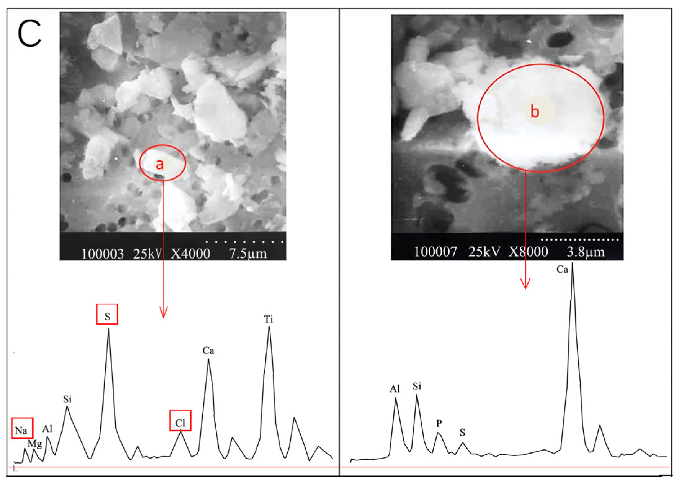 Atmosphere 15 00212 g005b