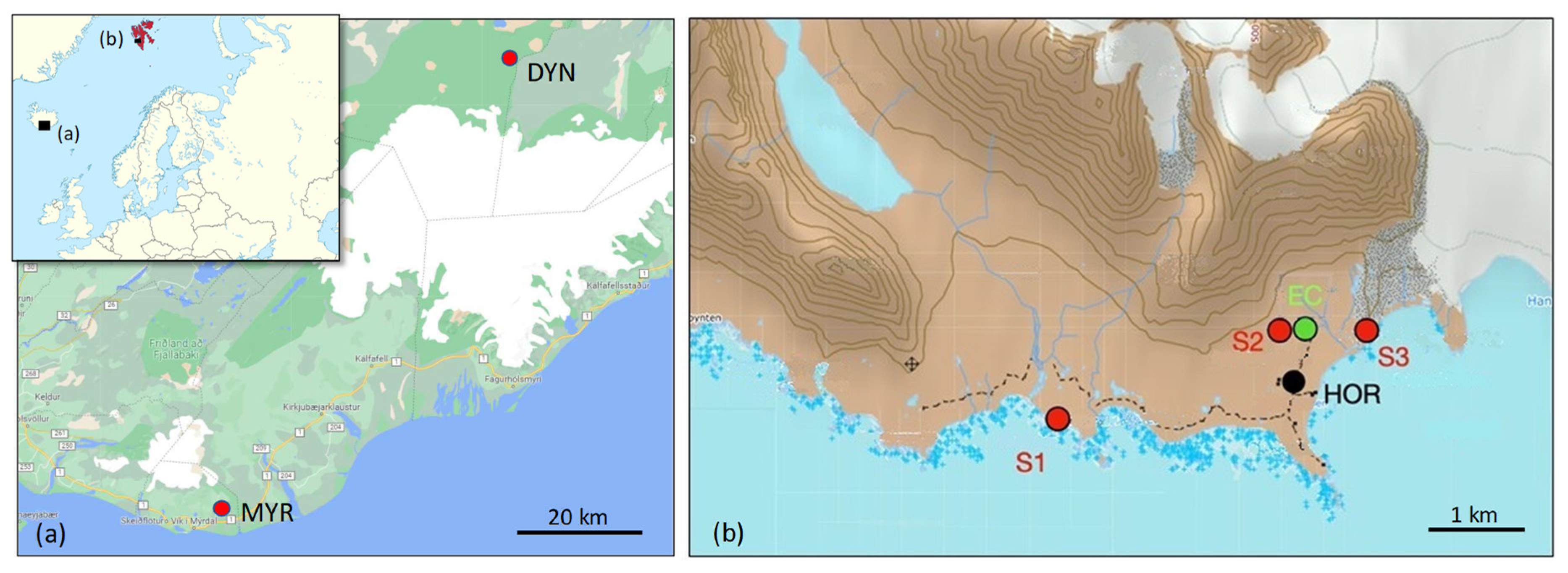 Atmosphere Free Full Text Investigation of Icelandic Dust