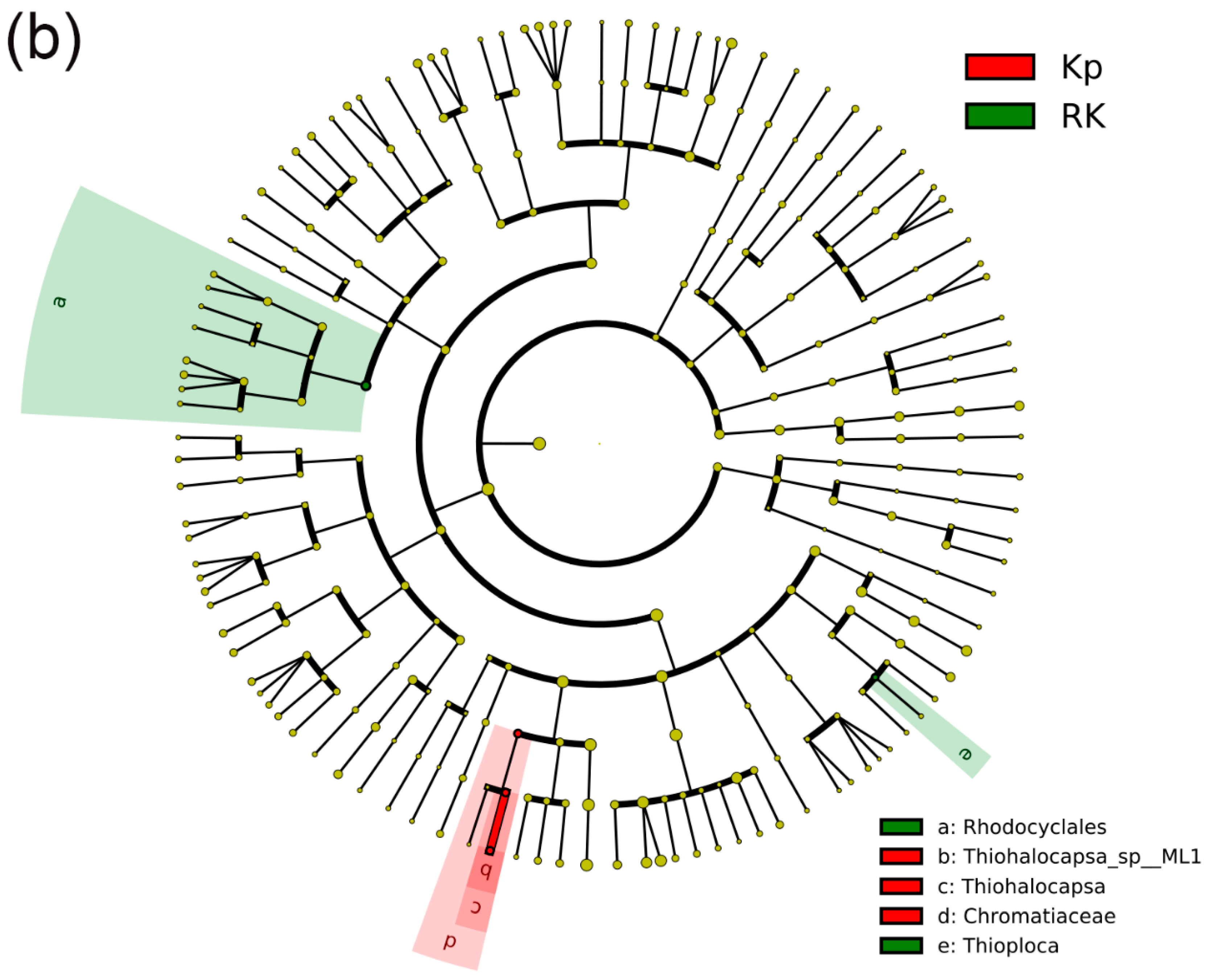 Atmosphere 15 00424 g005b