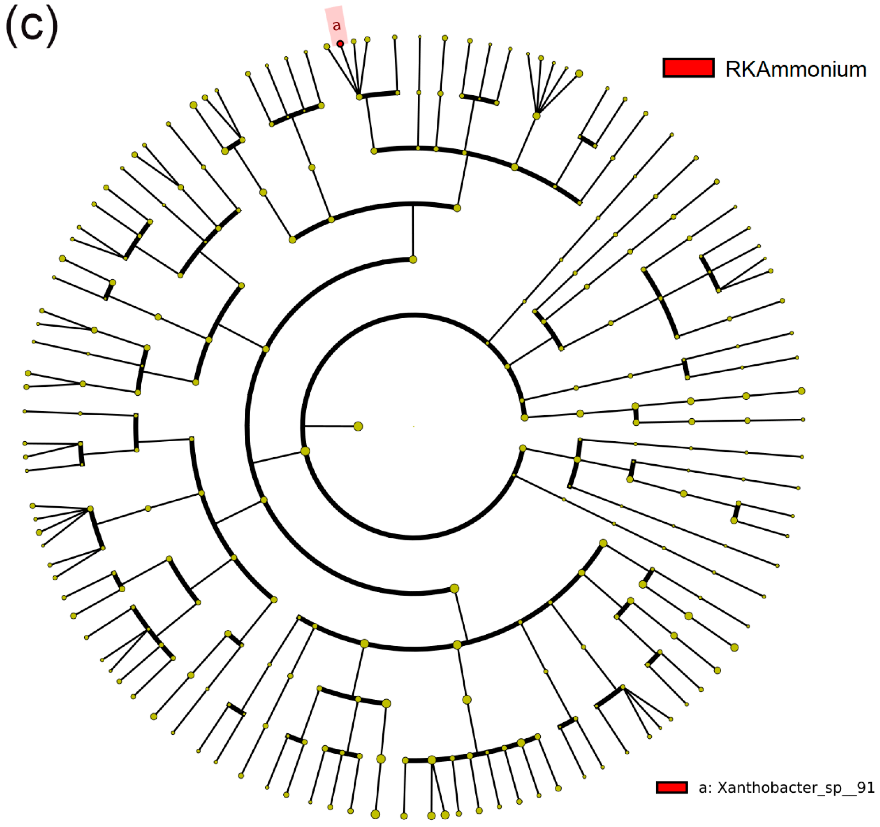 Atmosphere 15 00424 g005c