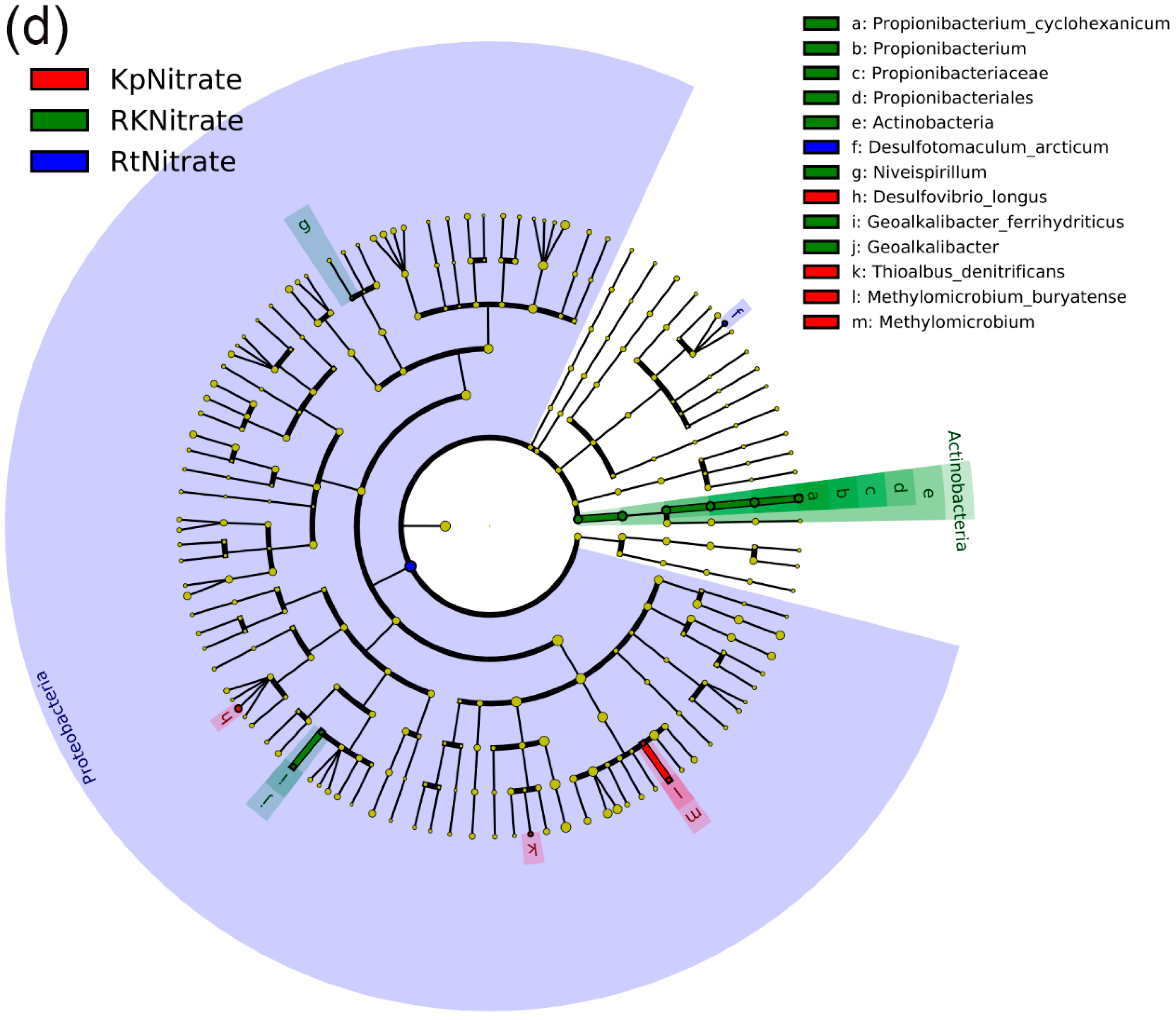 Atmosphere 15 00424 g005d