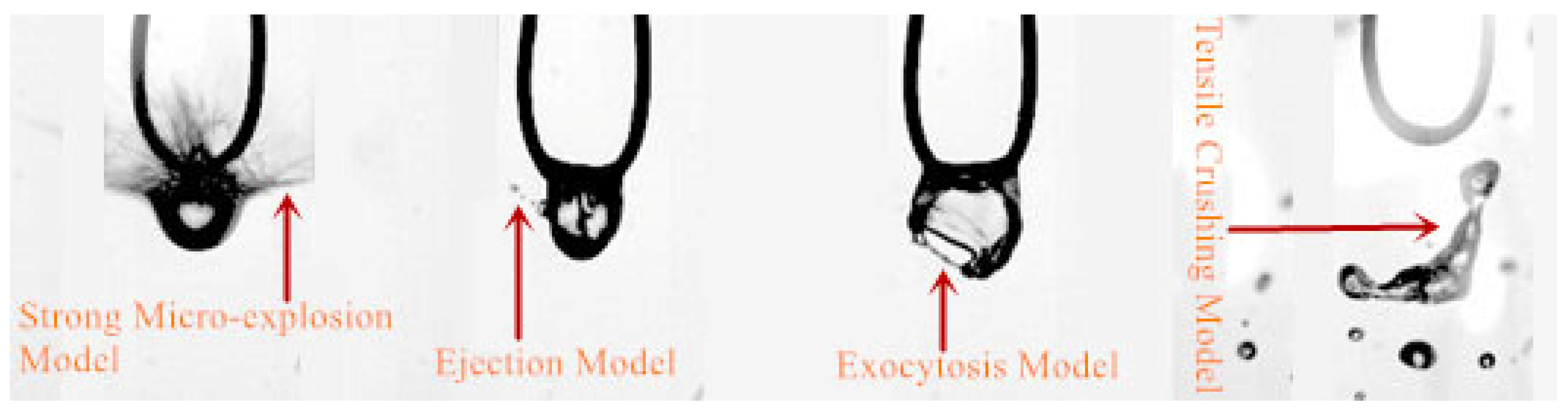 Atmosphere 15 00604 g008