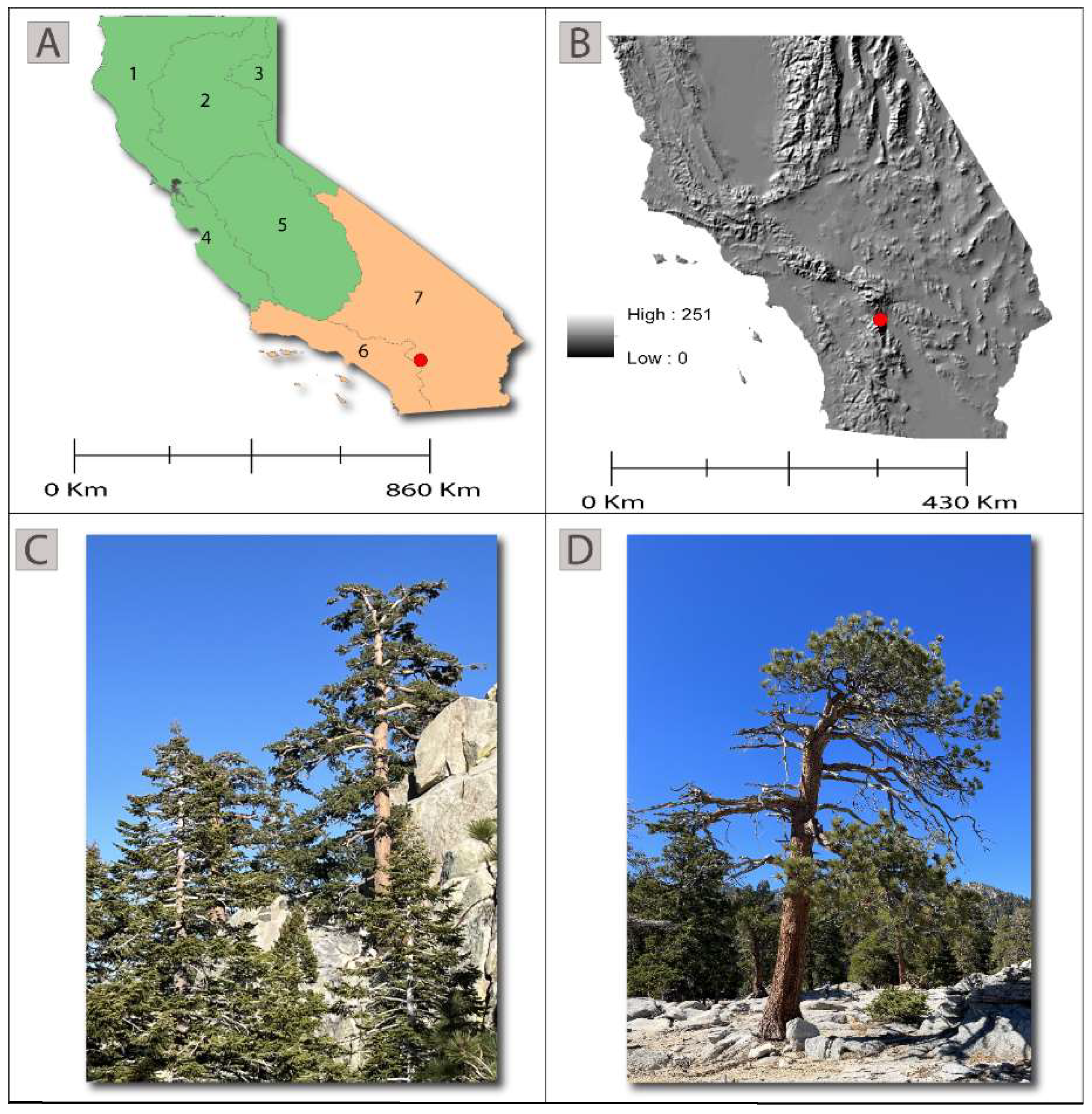 Atmosphere 15 00649 g001