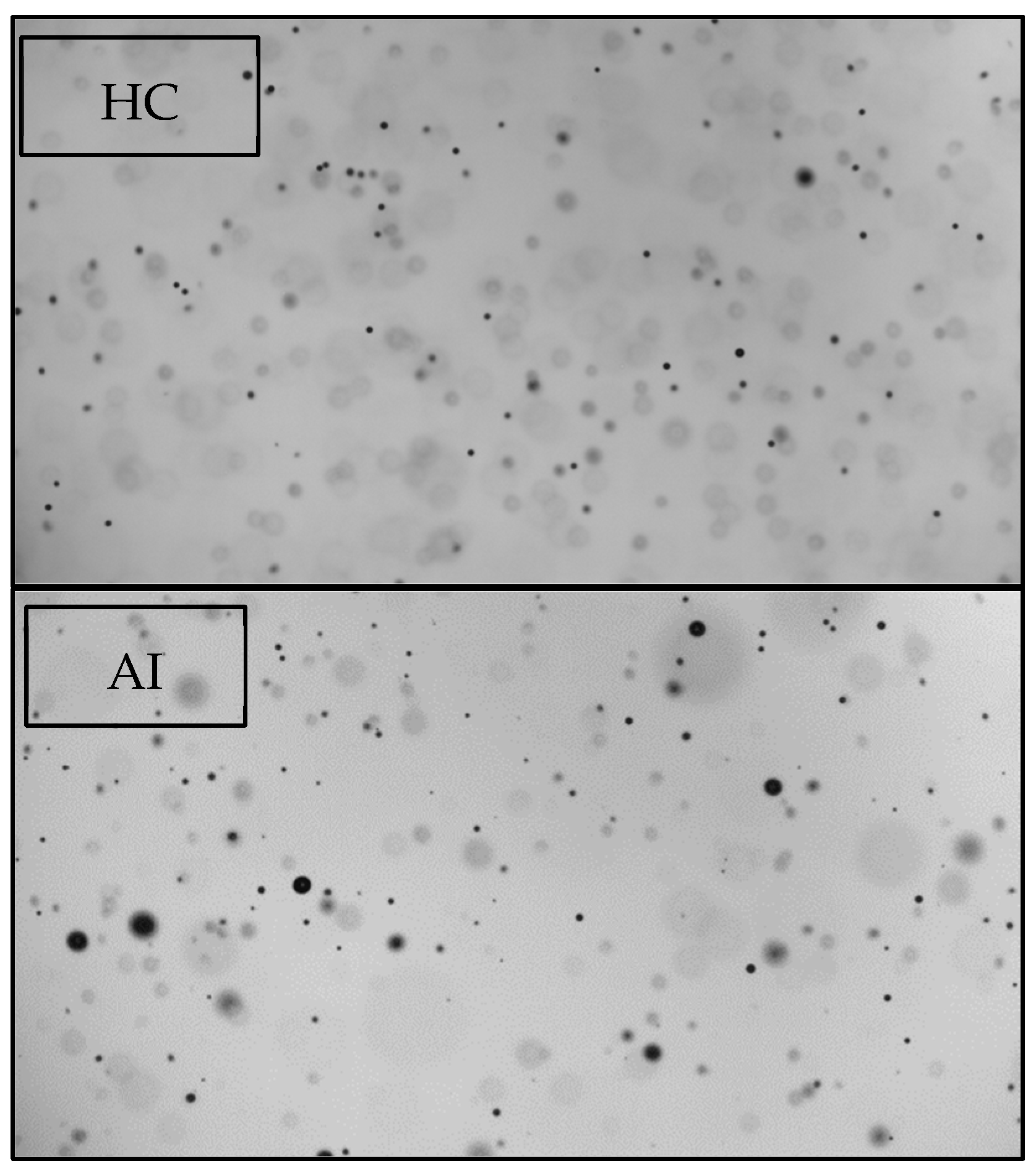 Atmosphere 15 00656 g005