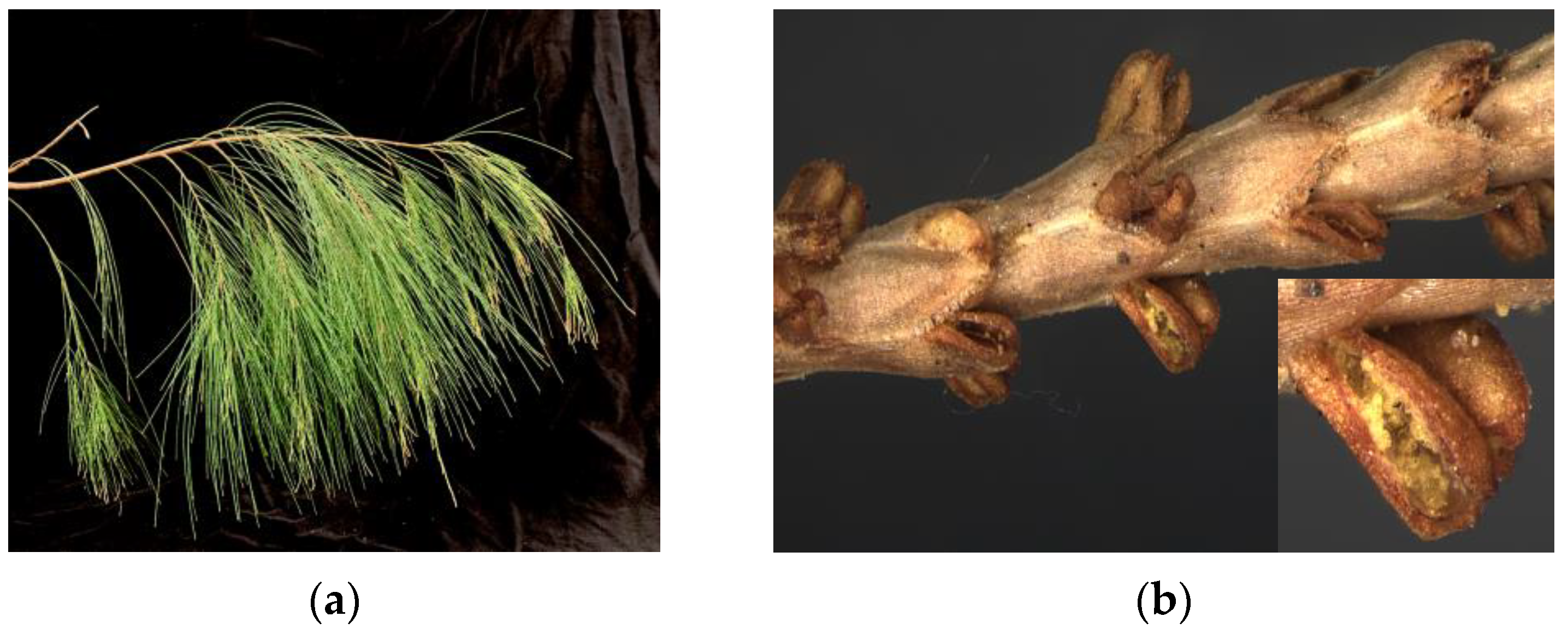 Atmosphere 15 00719 g001