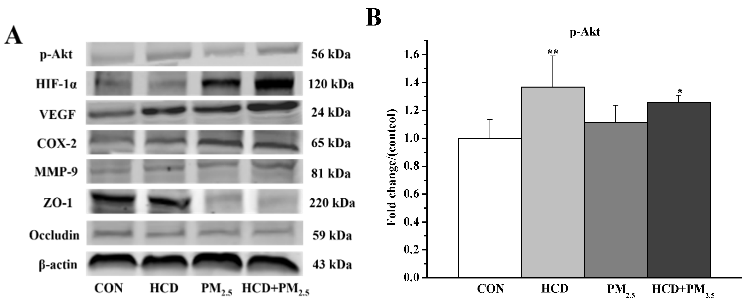 Atmosphere 15 00952 g006a