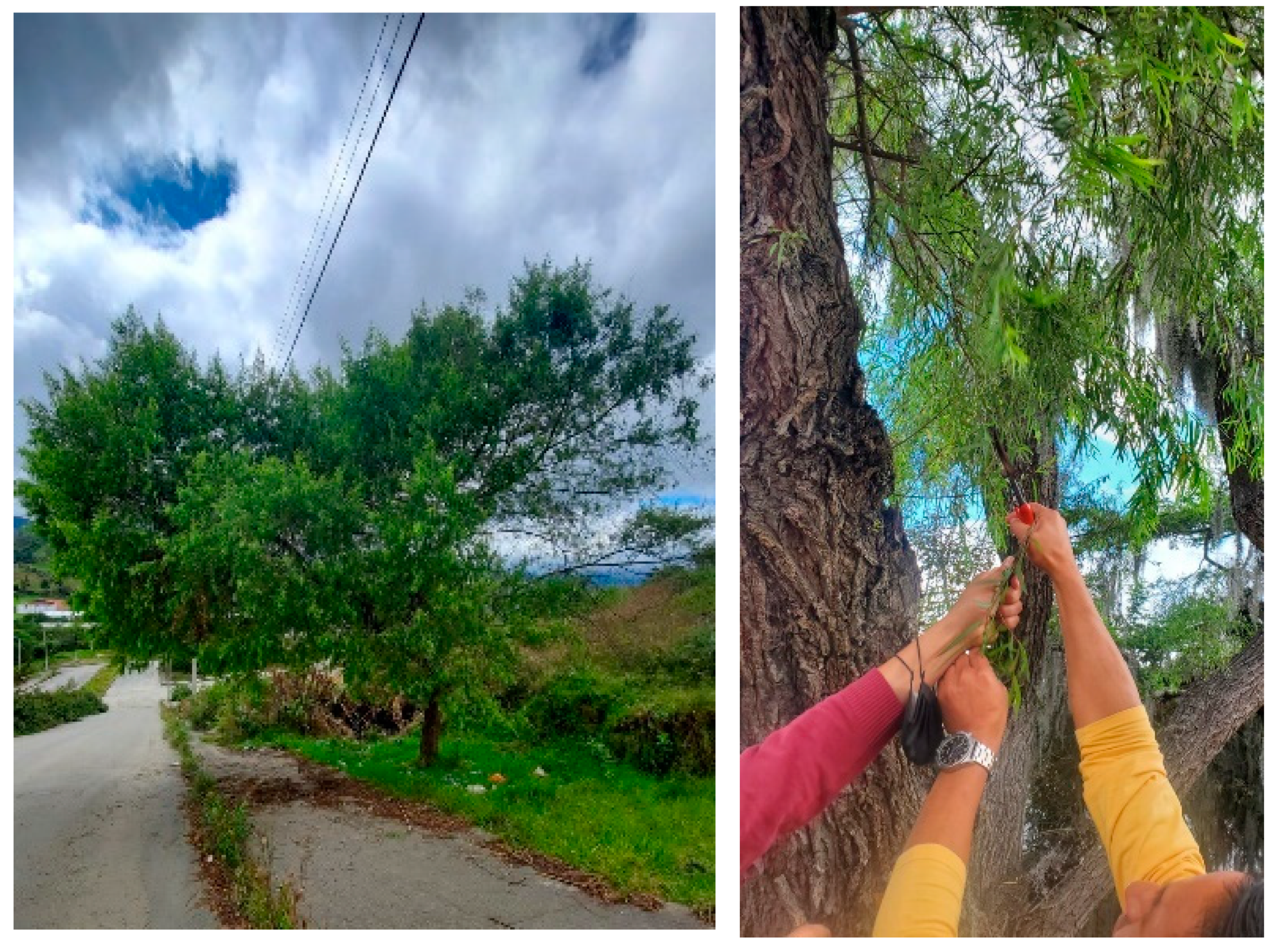 Atmosphere 15 01160 g002 Atmosphere 15 01160 g002