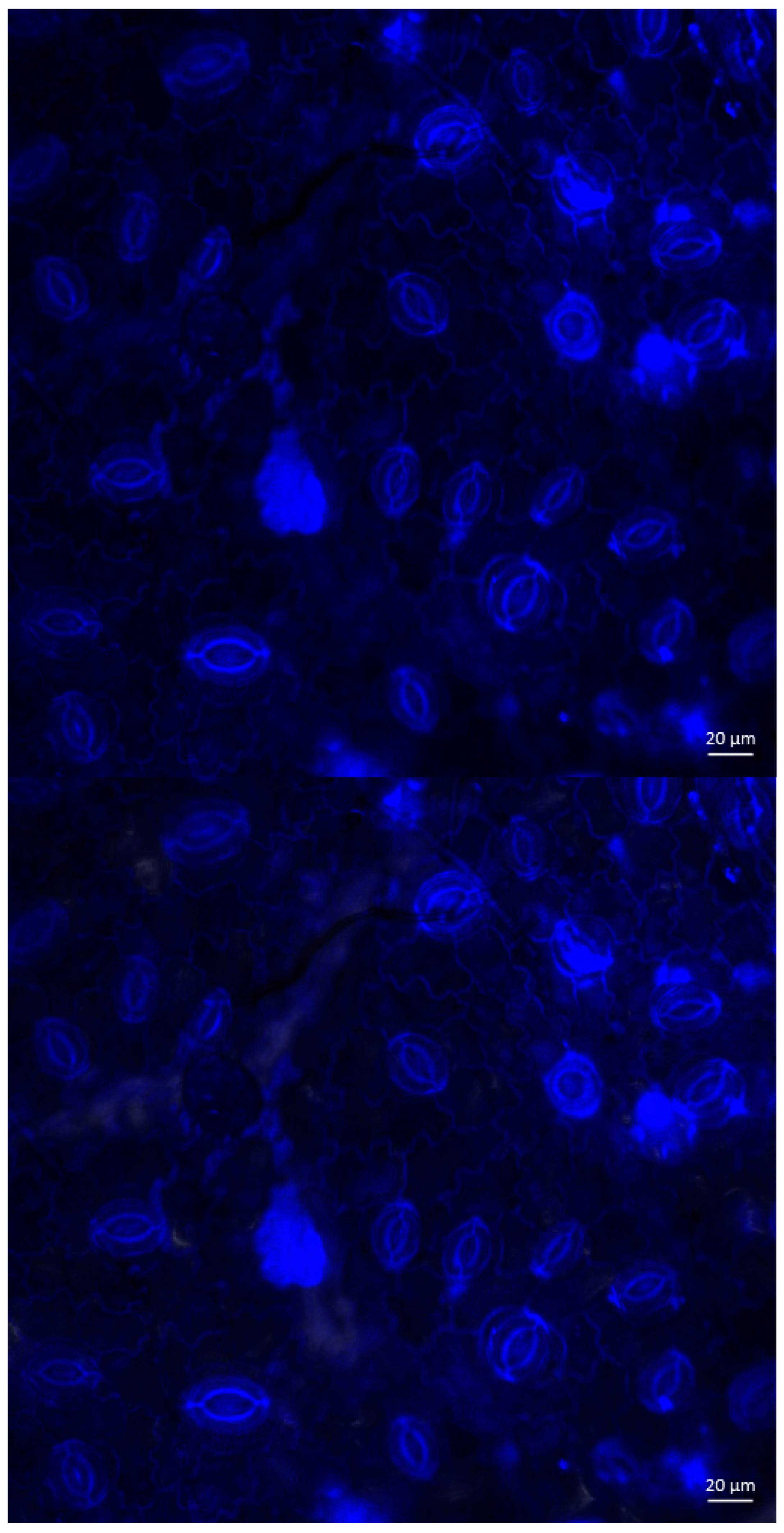 Atmosphere 15 01165 g003a