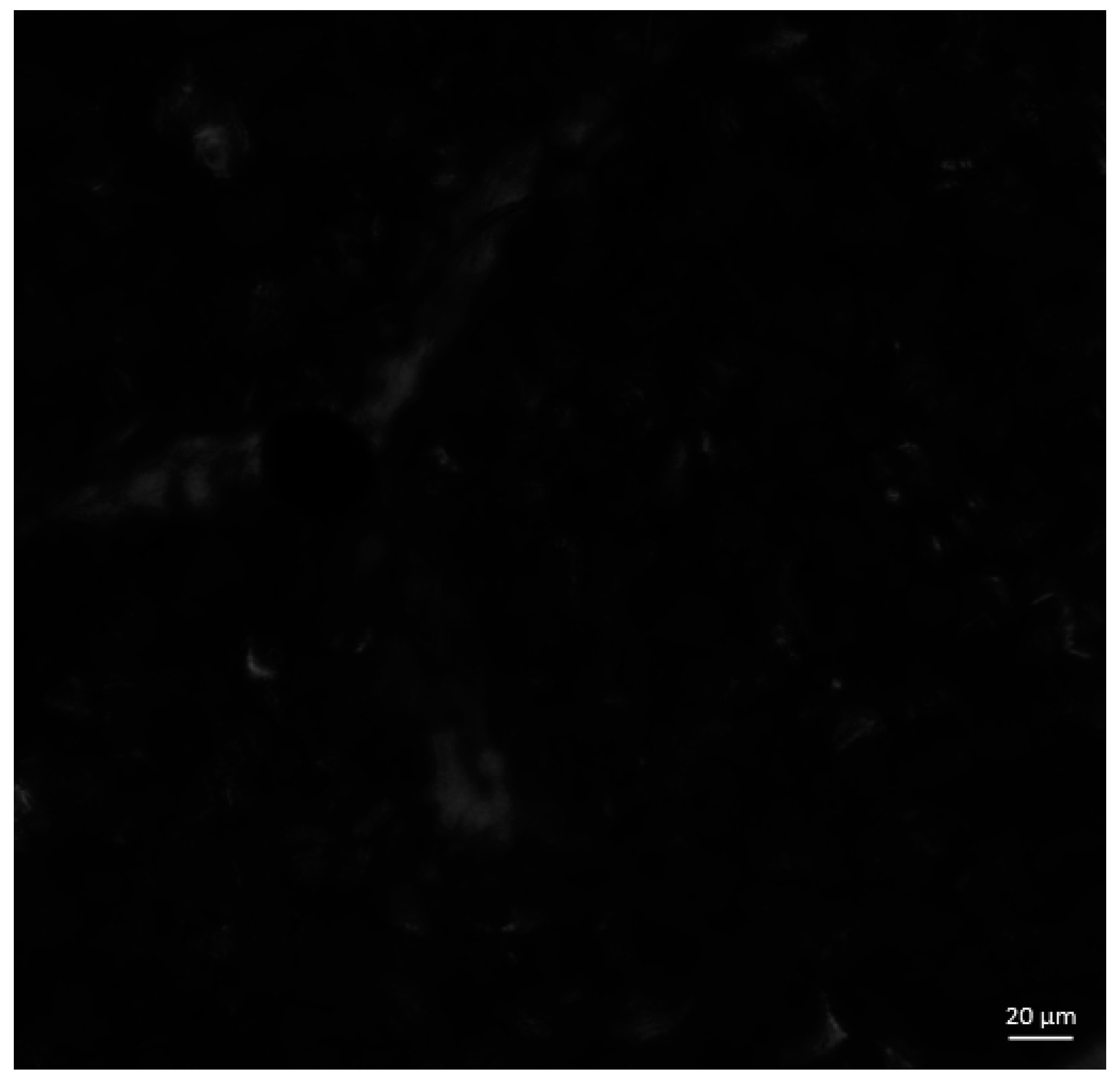 Atmosphere 15 01165 g003b