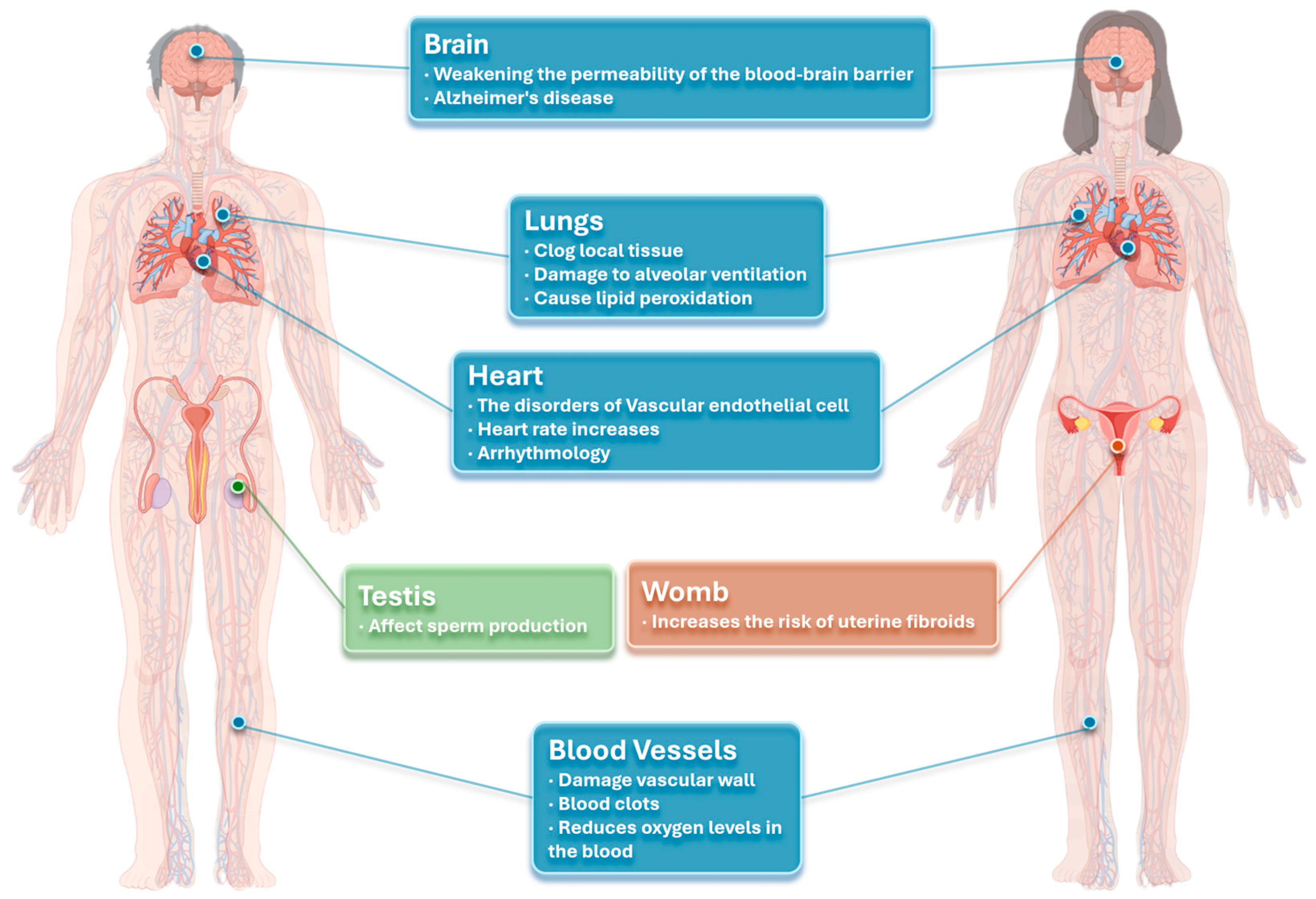 Atmosphere 15 01411 g001