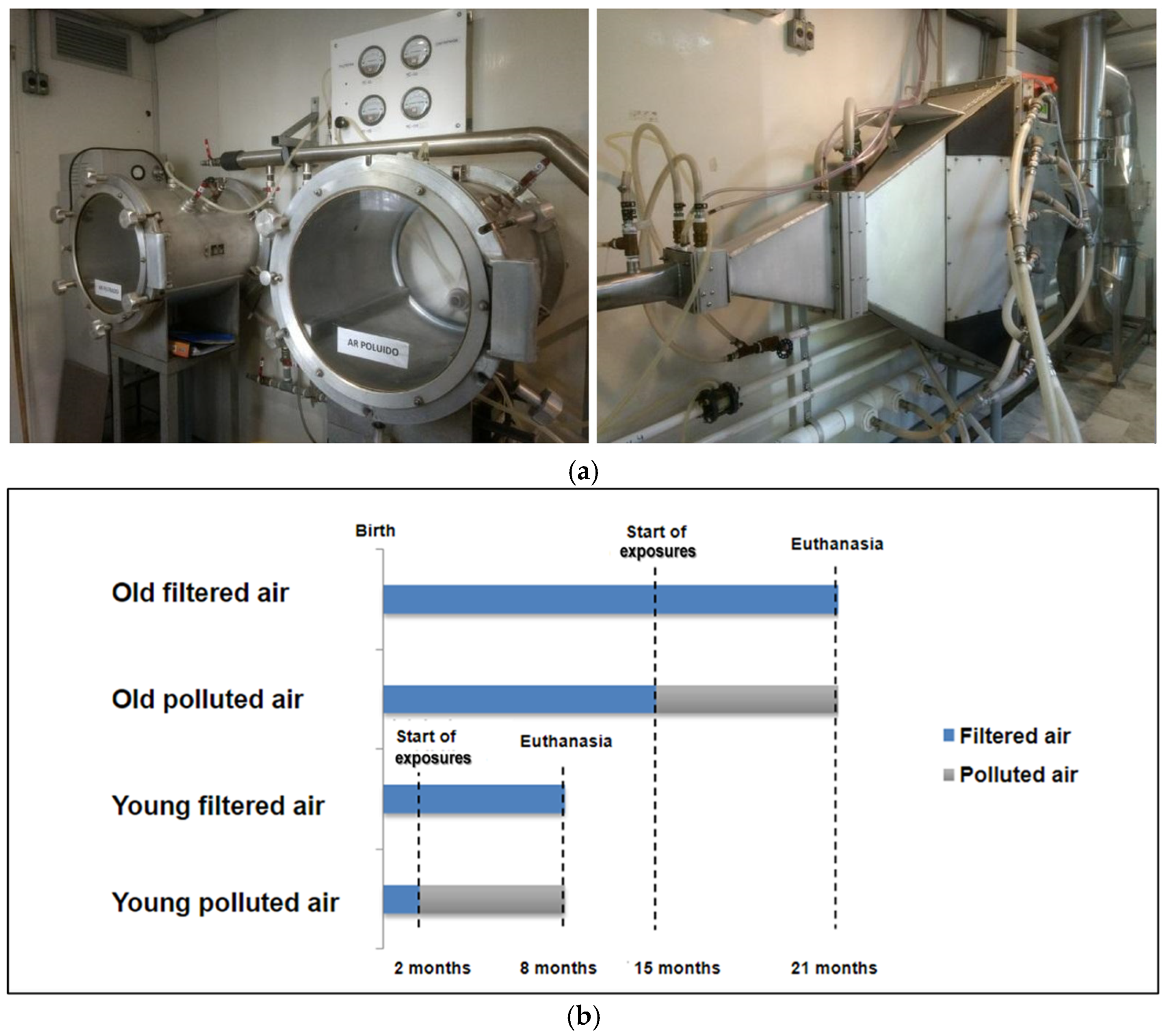 Atmosphere 16 00109 g001