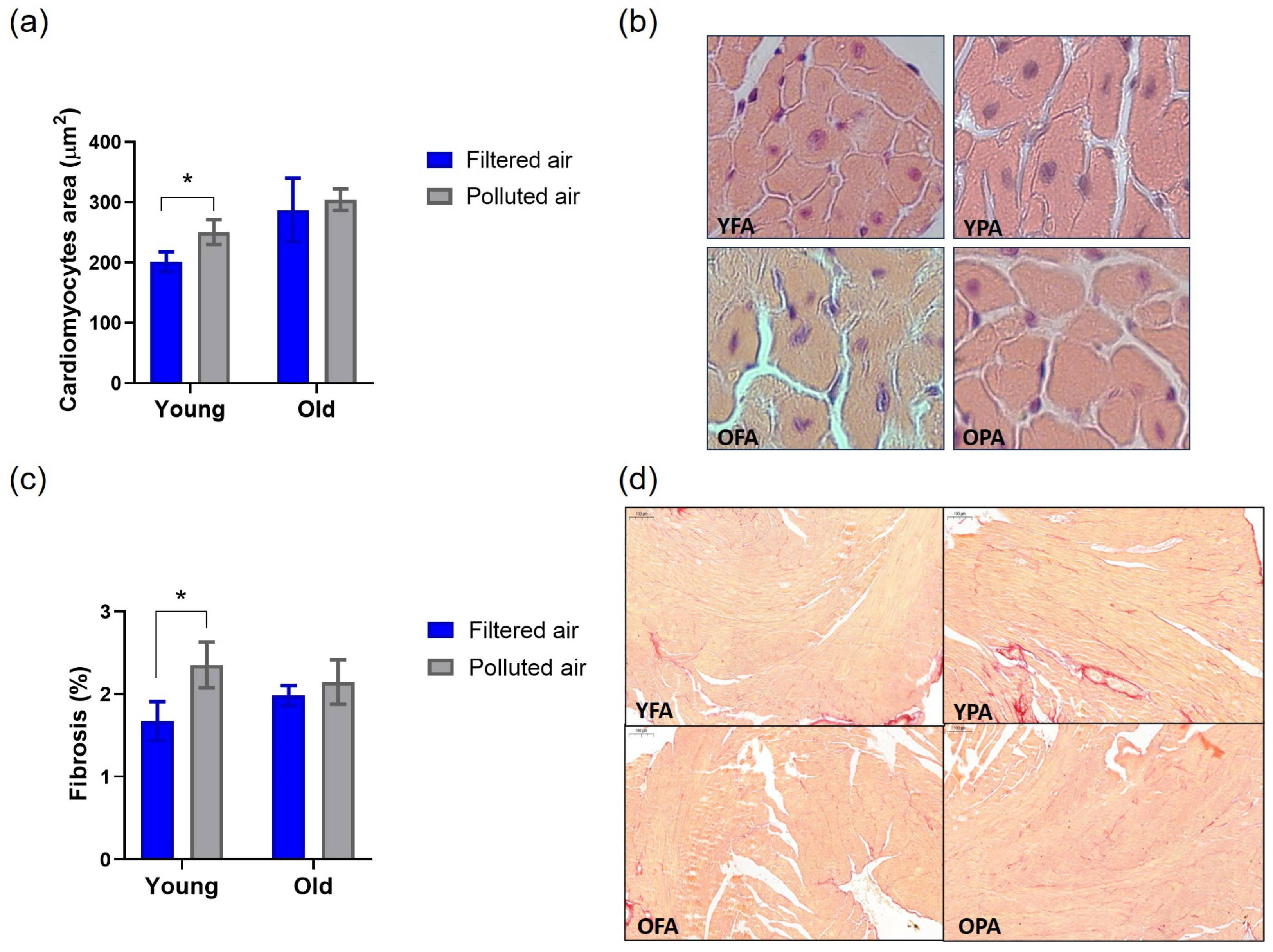 Atmosphere 16 00109 g004