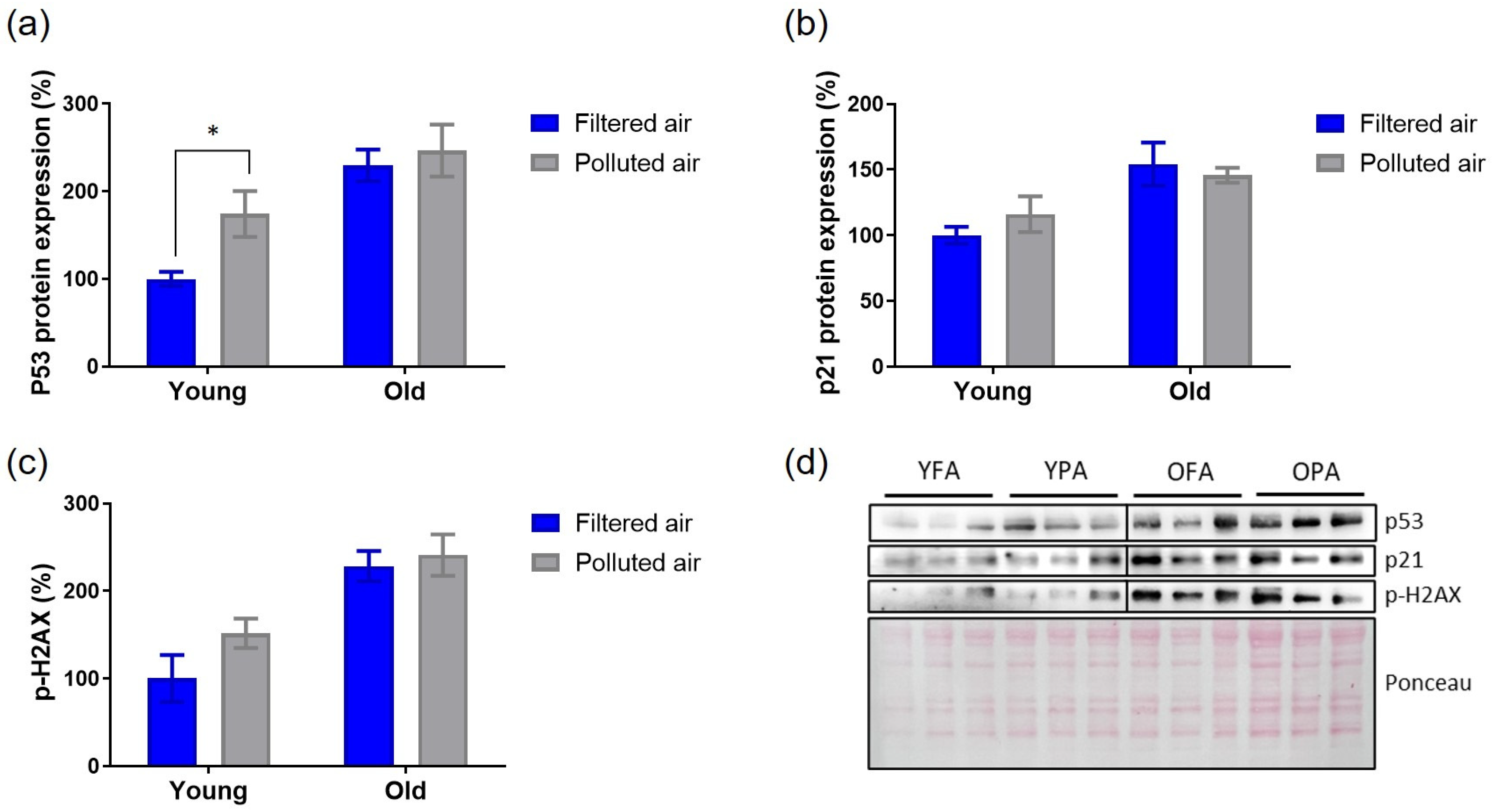 Atmosphere 16 00109 g005