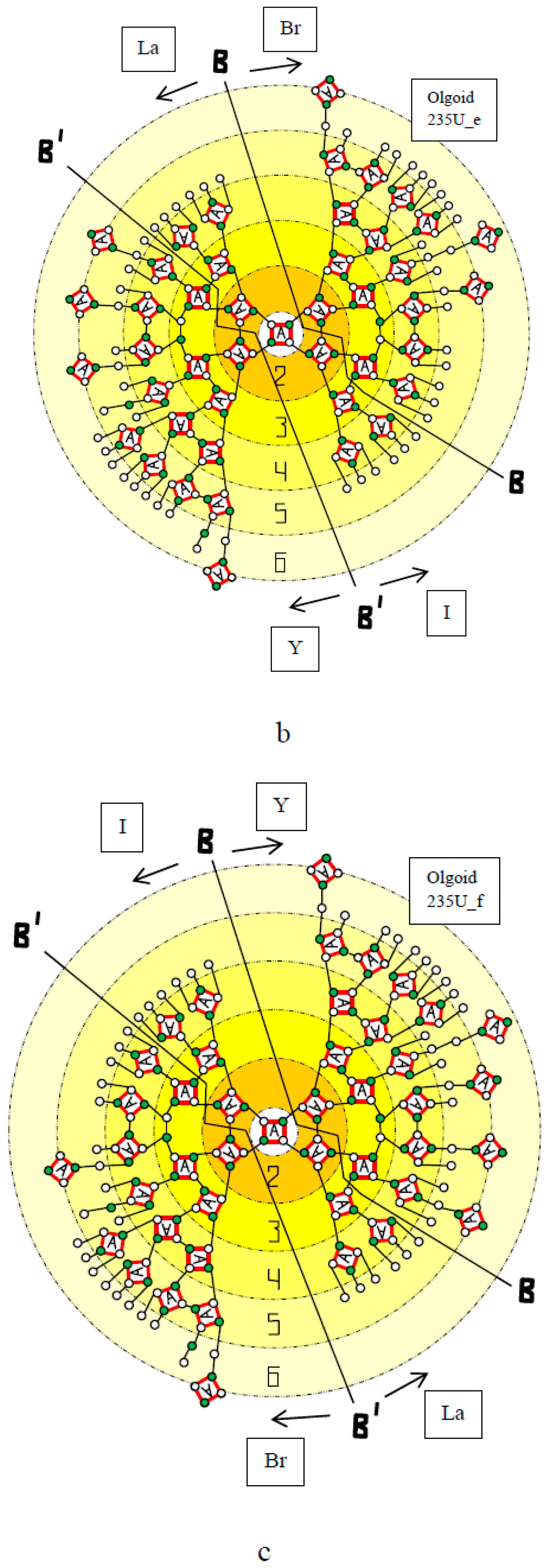 Atoms 10 00134 g004b