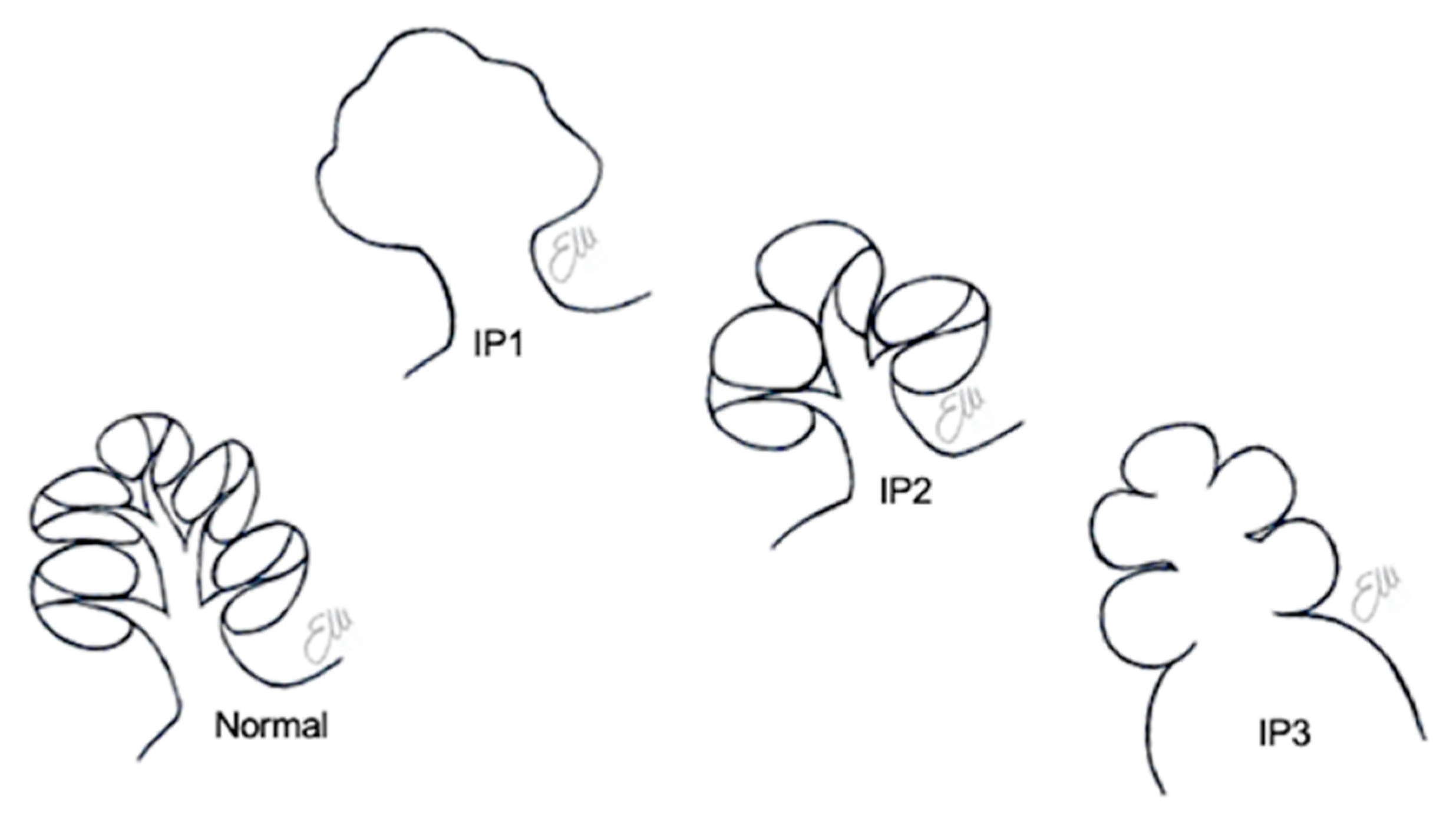 Audiolres 11 00047 g003 Audiolres 11 00047 g003