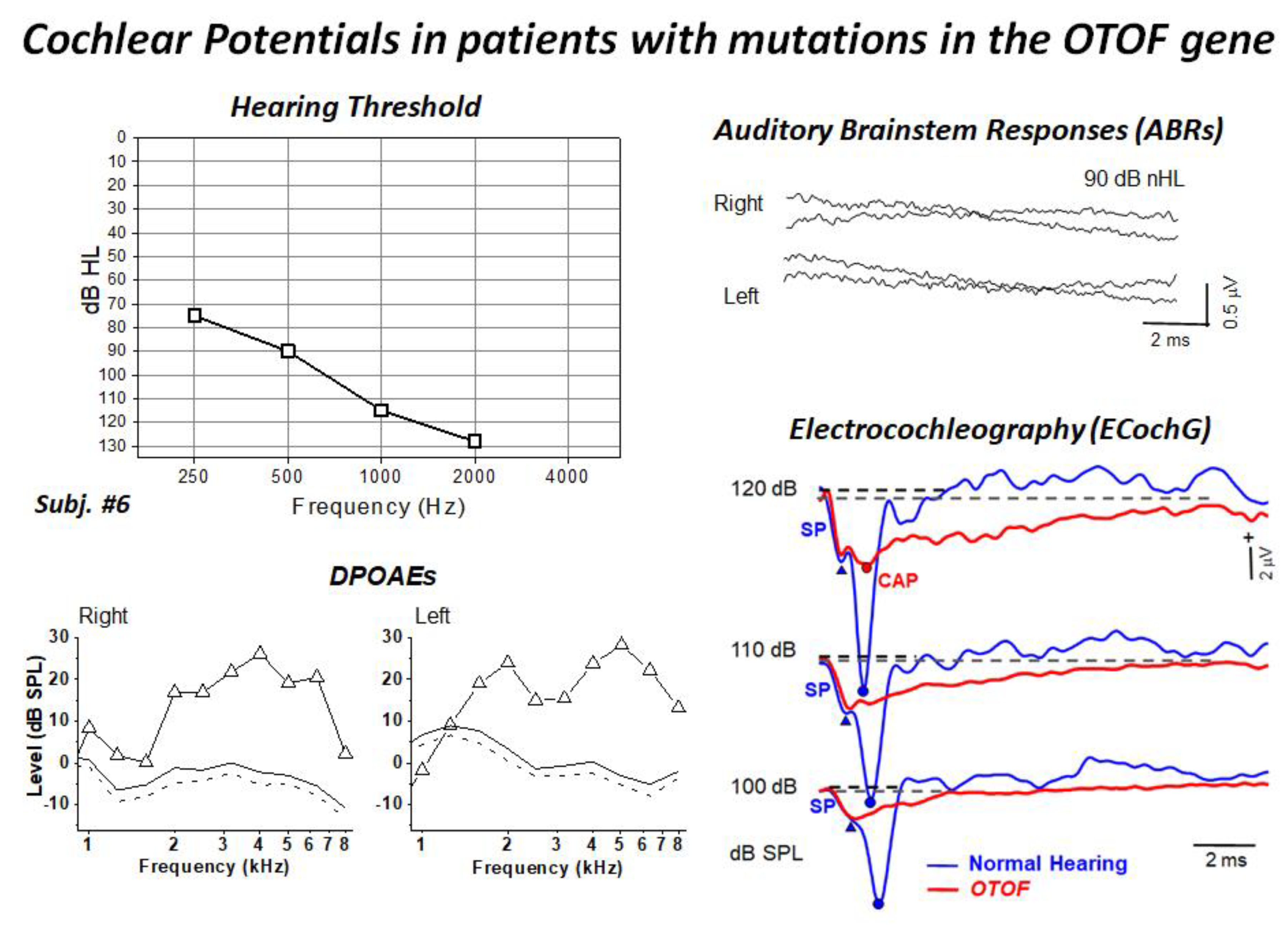 Audiolres 11 00059 g003