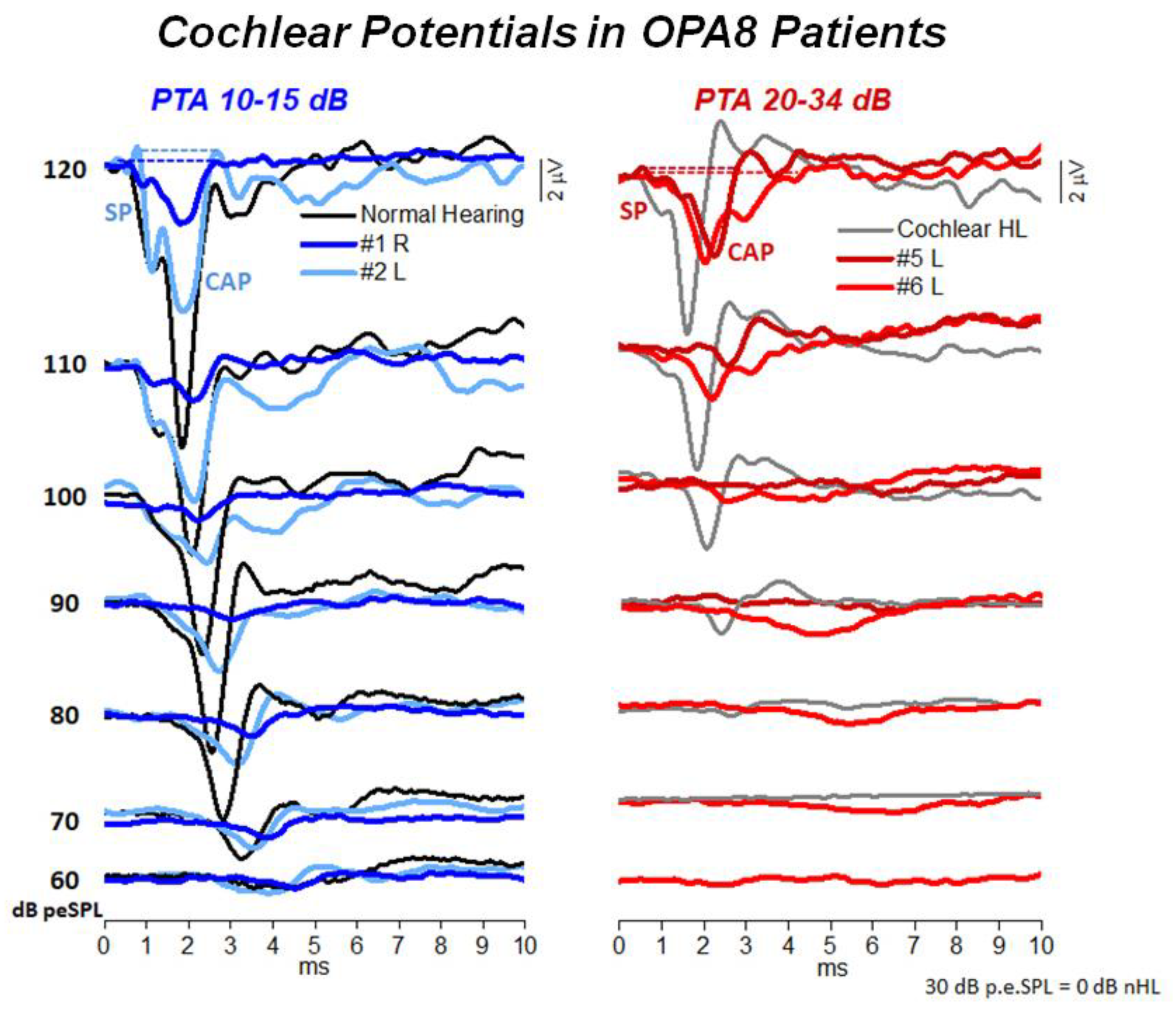 Audiolres 11 00059 g004