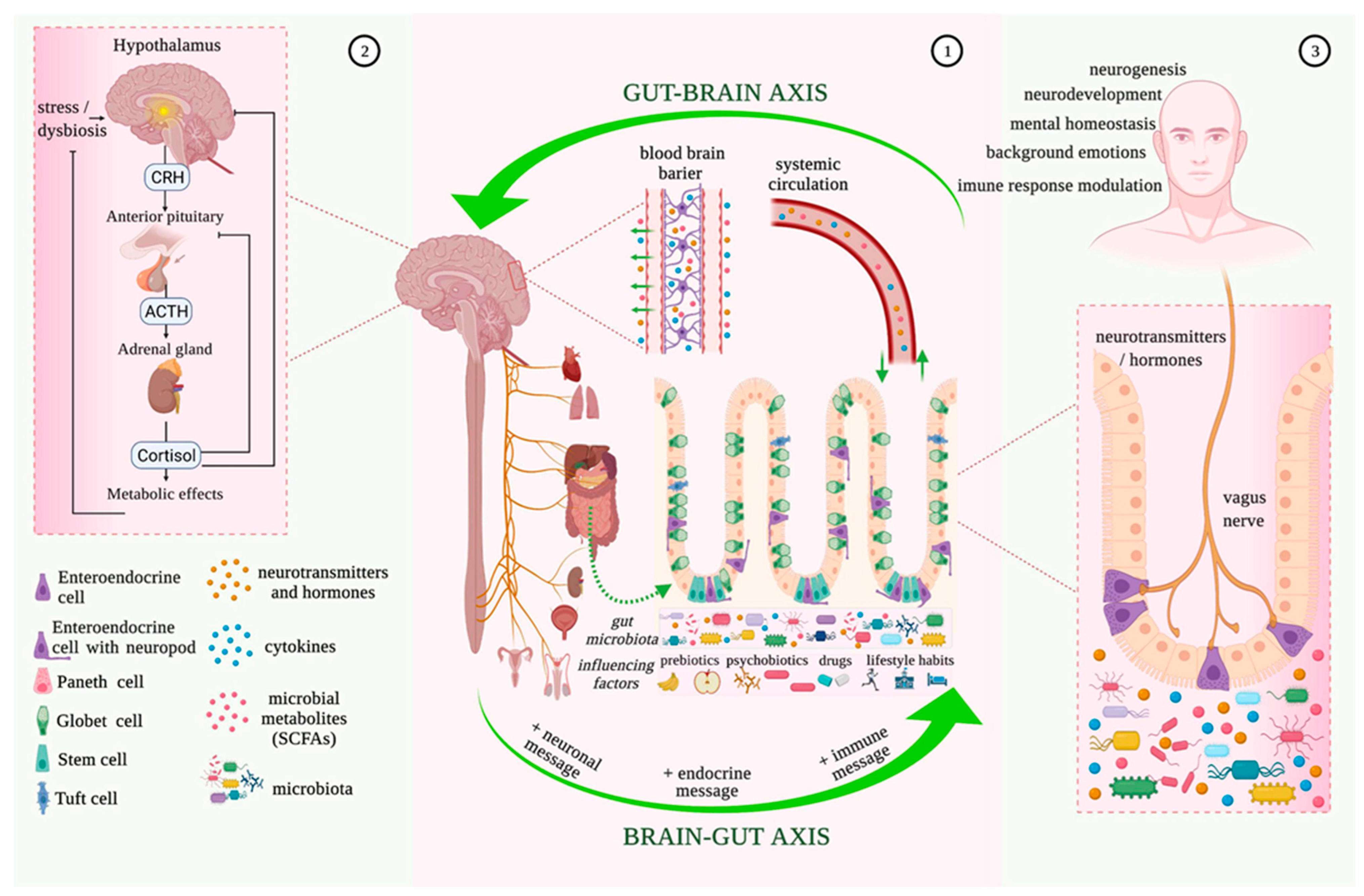 Audiolres 13 00066 g001 Audiolres 13 00066 g001