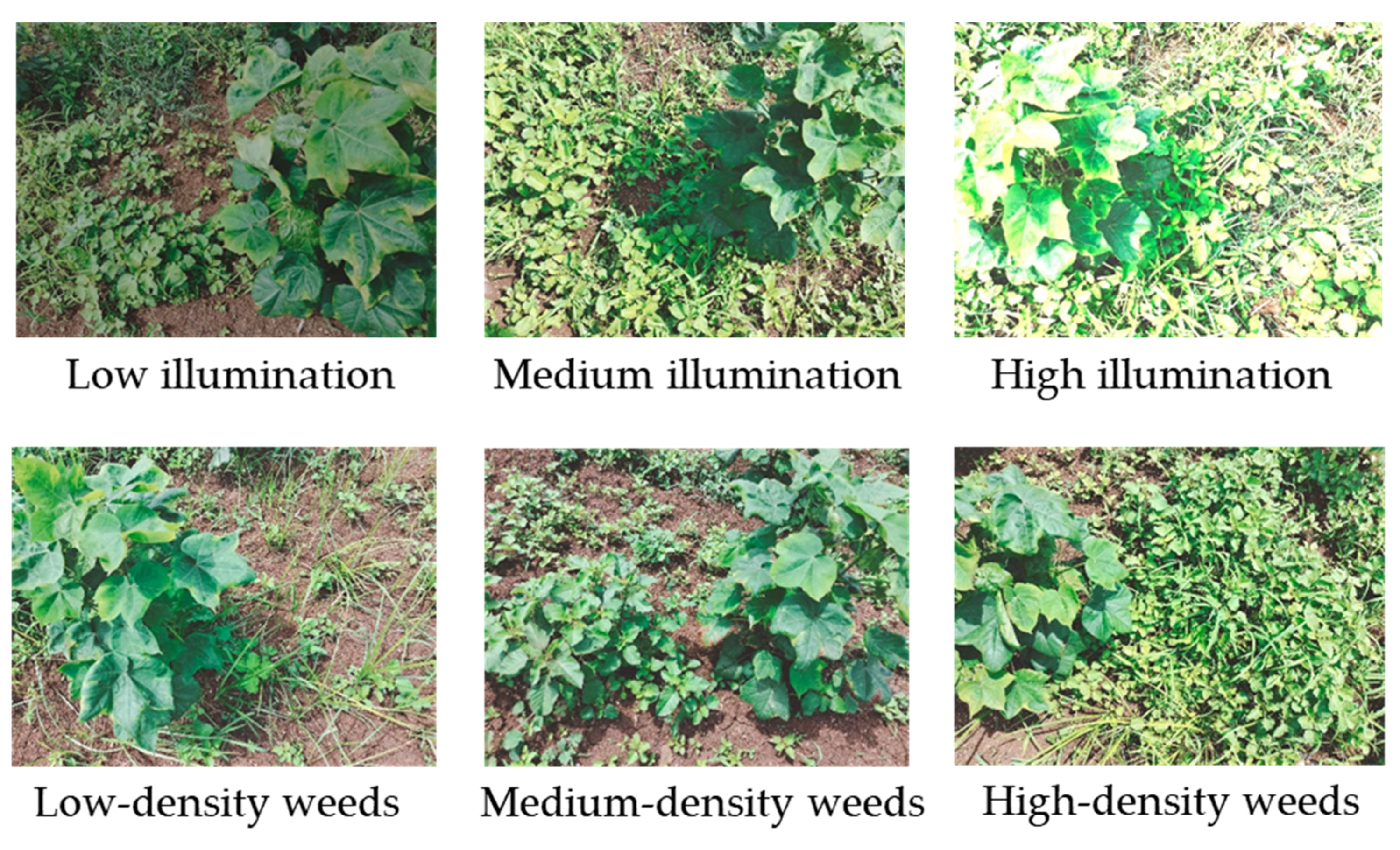 Automation 06 00053 g001 Automation 06 00053 g001