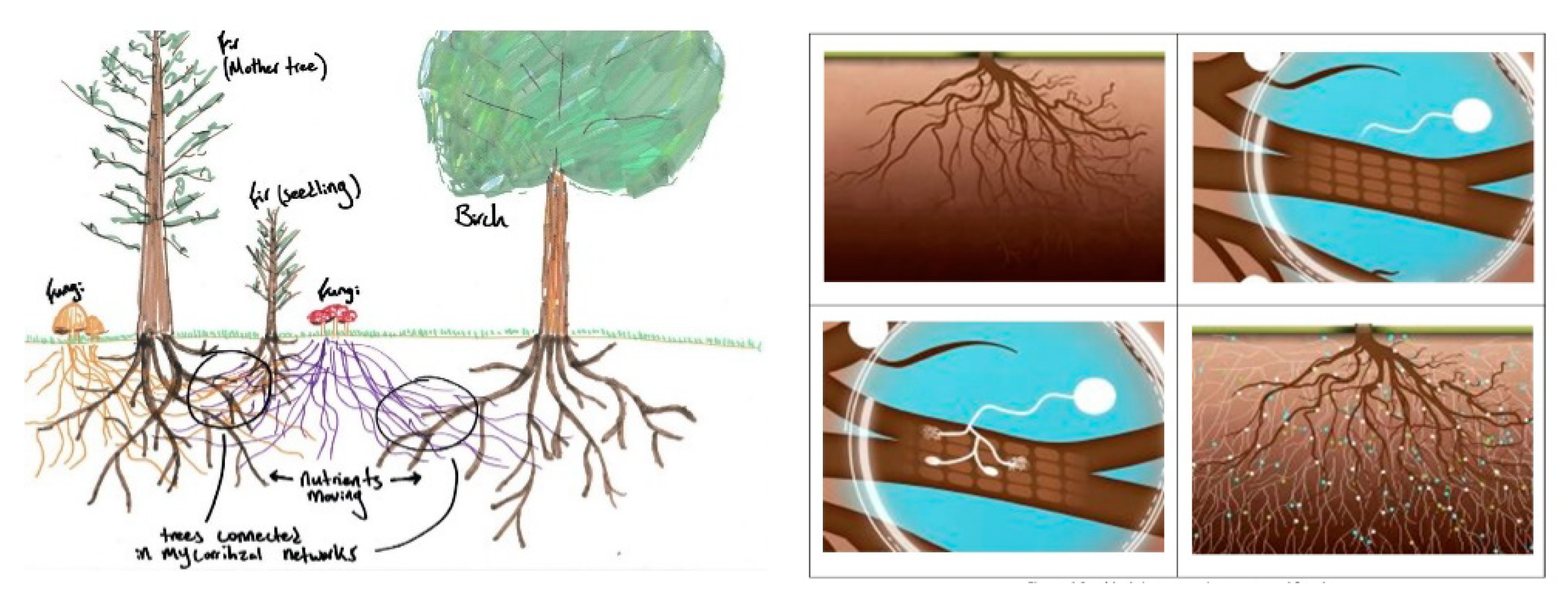 Axioms 11 00391 g002