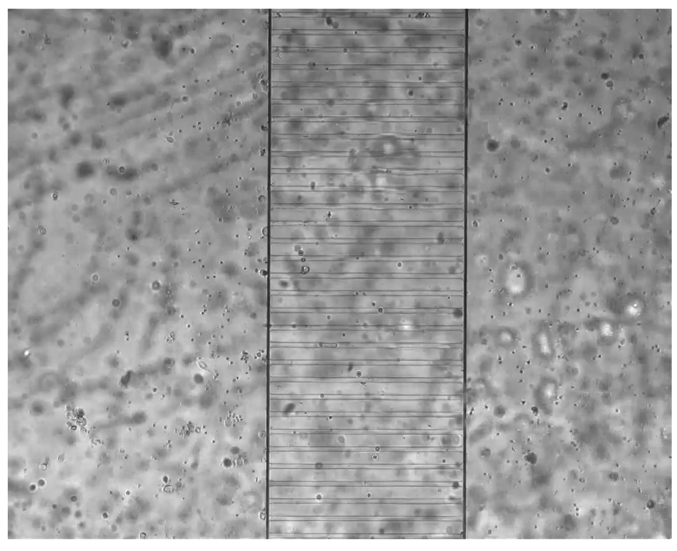 Axioms 12 00930 g001 Axioms 12 00930 g001