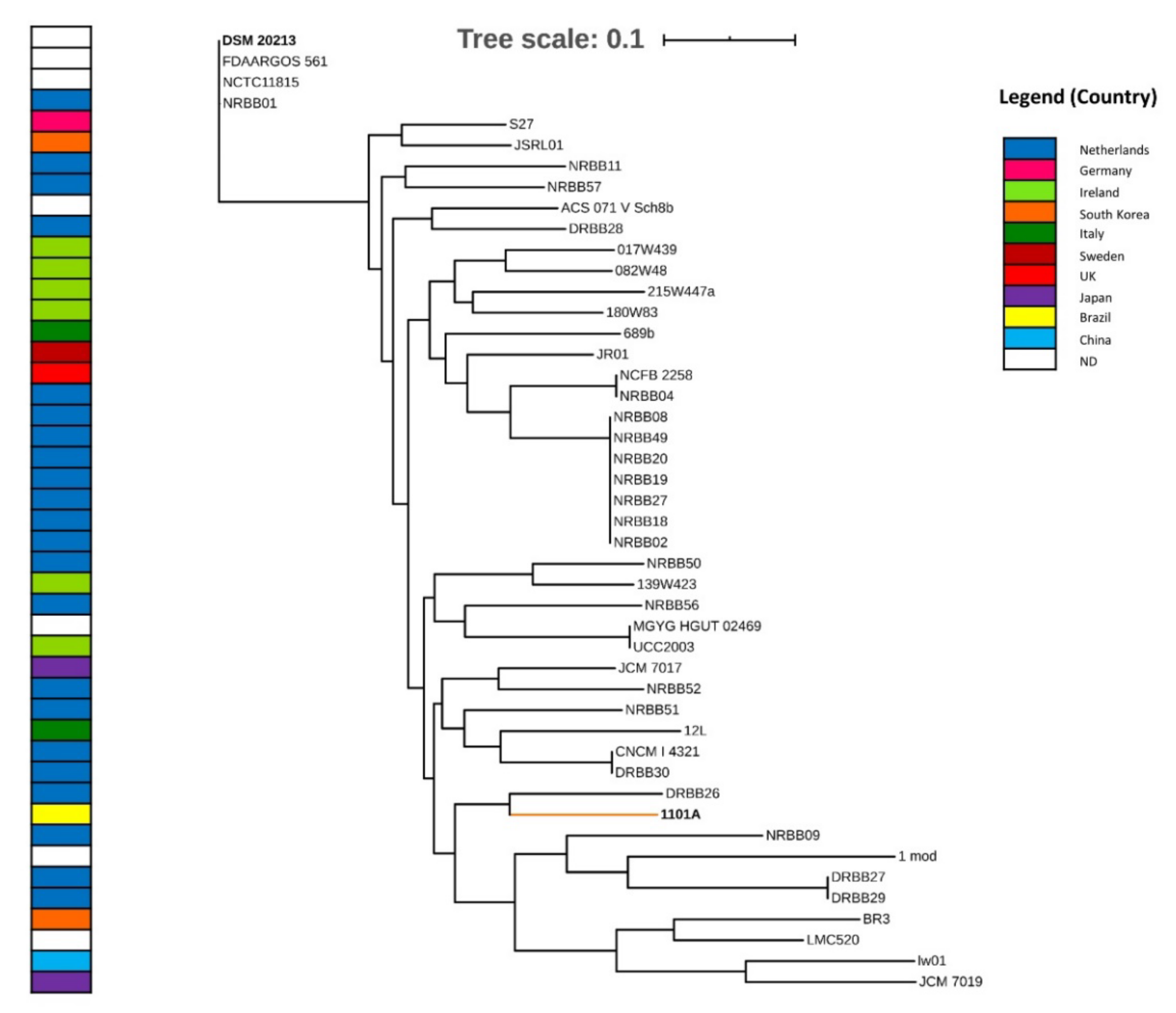 Bacteria | Free Full-Text | Comparative Genomics And In Silico ...