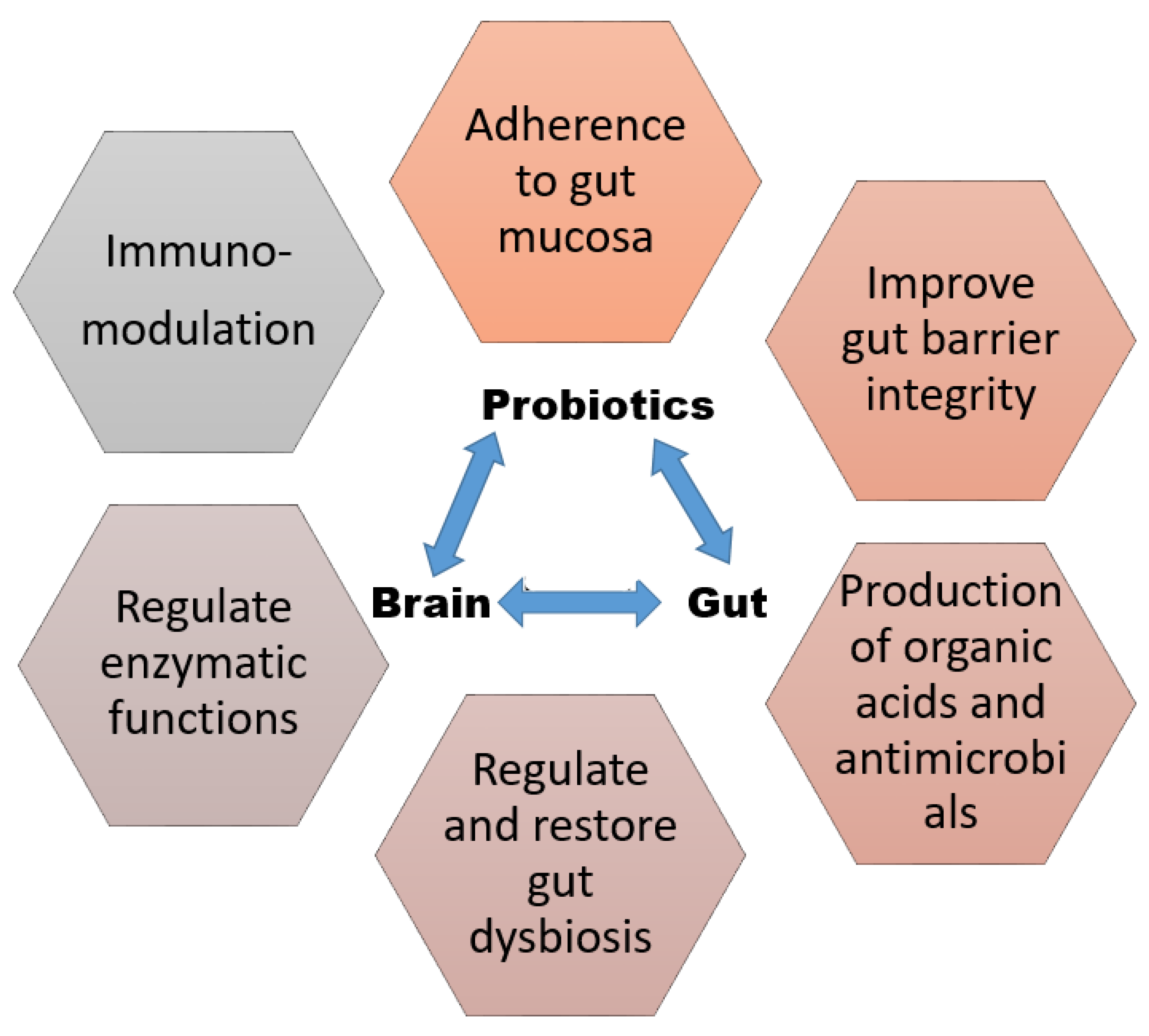 Bacteria | Free Full-Text | Probiotic Regulation to Modulate Aging Gut and  Brain Health: A Concise Review