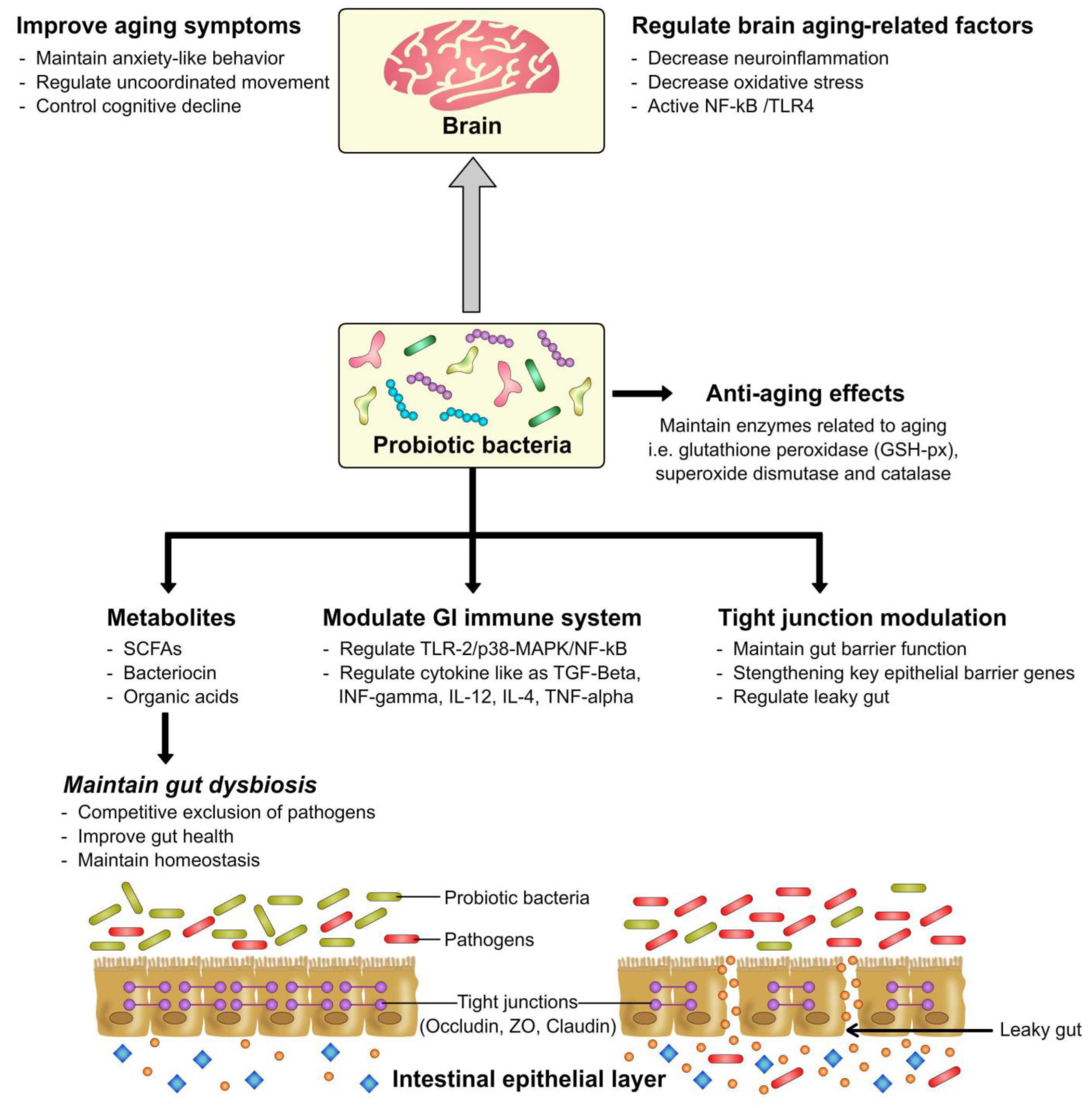 Bacteria 01 00019 g002 Bacteria 01 00019 g002
