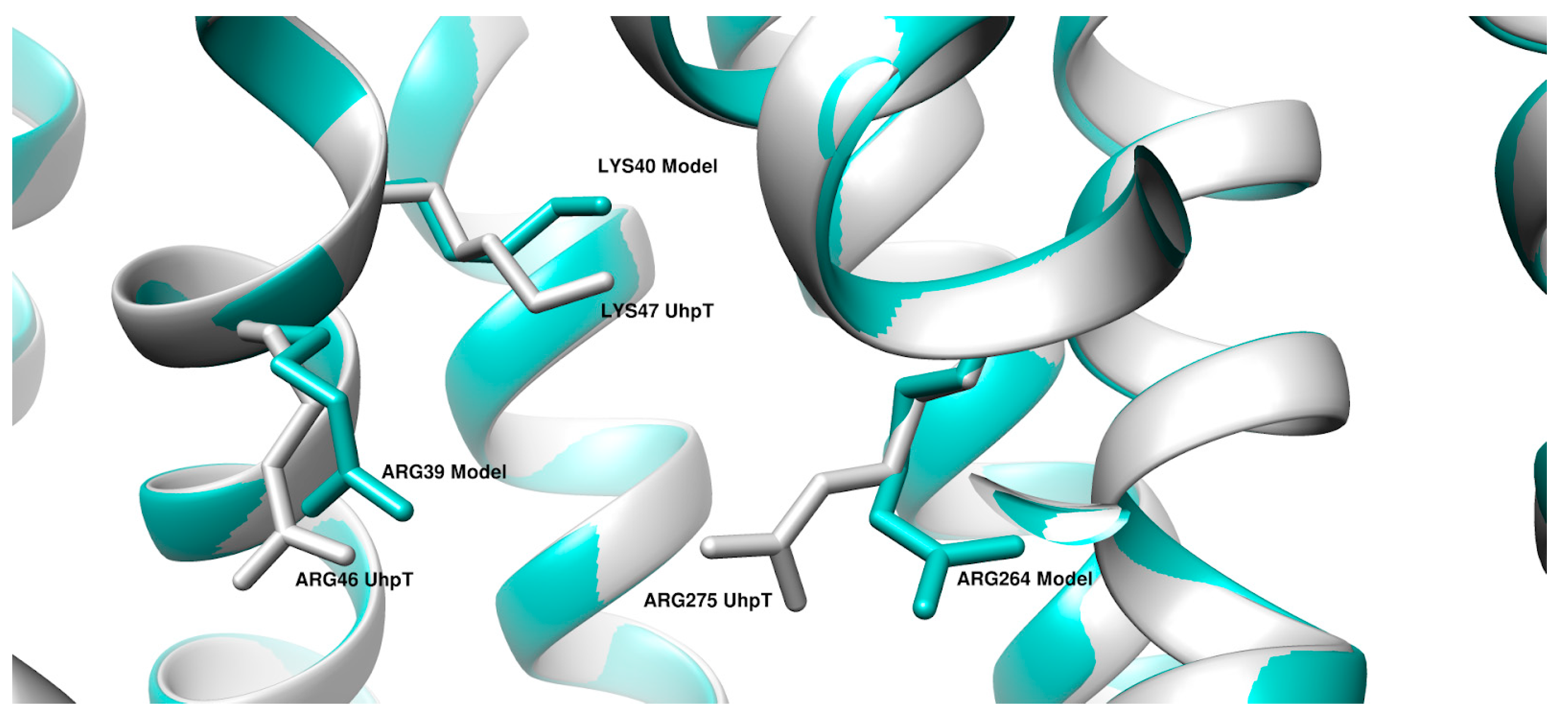 Bacteria 01 00020 g005 Bacteria 01 00020 g005