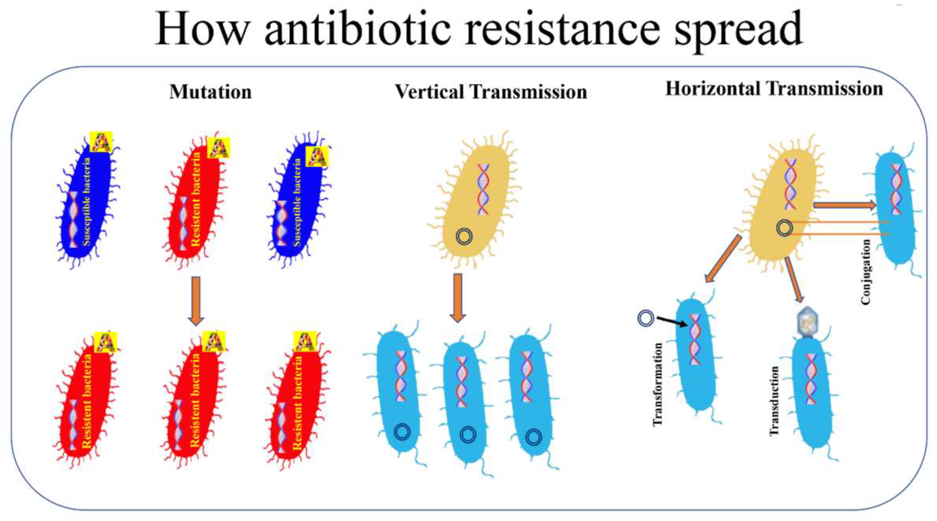 Bacteria 03 00006 g001
